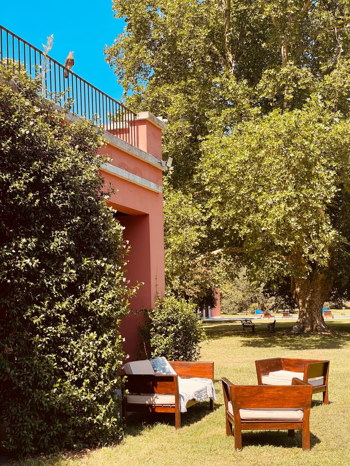 Estancia La Bandada: A Hidden Gem in the Argentine Pampas curated by Simona Ispas