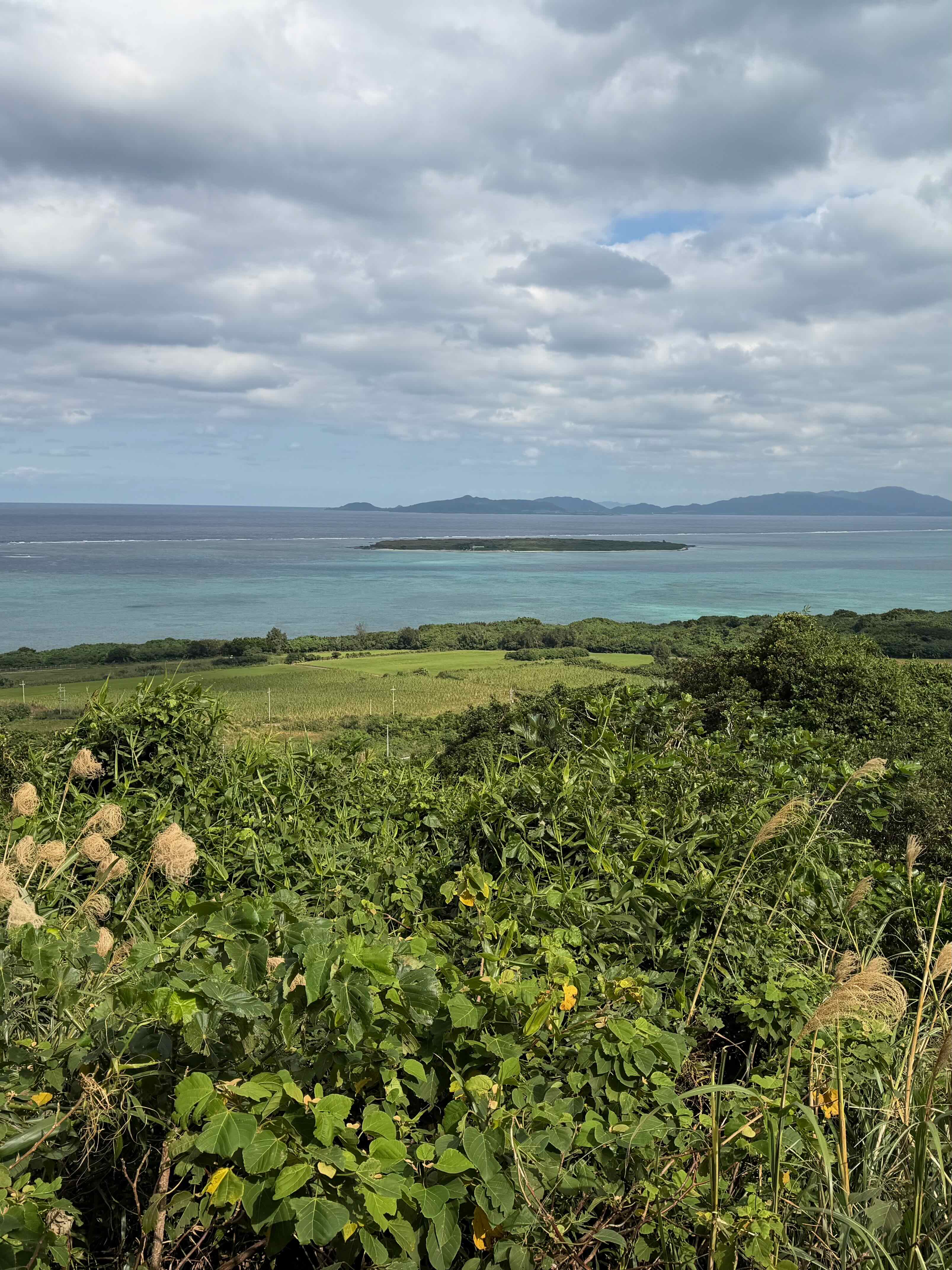 Kohama Island: On Island Time in Okinawa, Japan curated by Emily Rogers