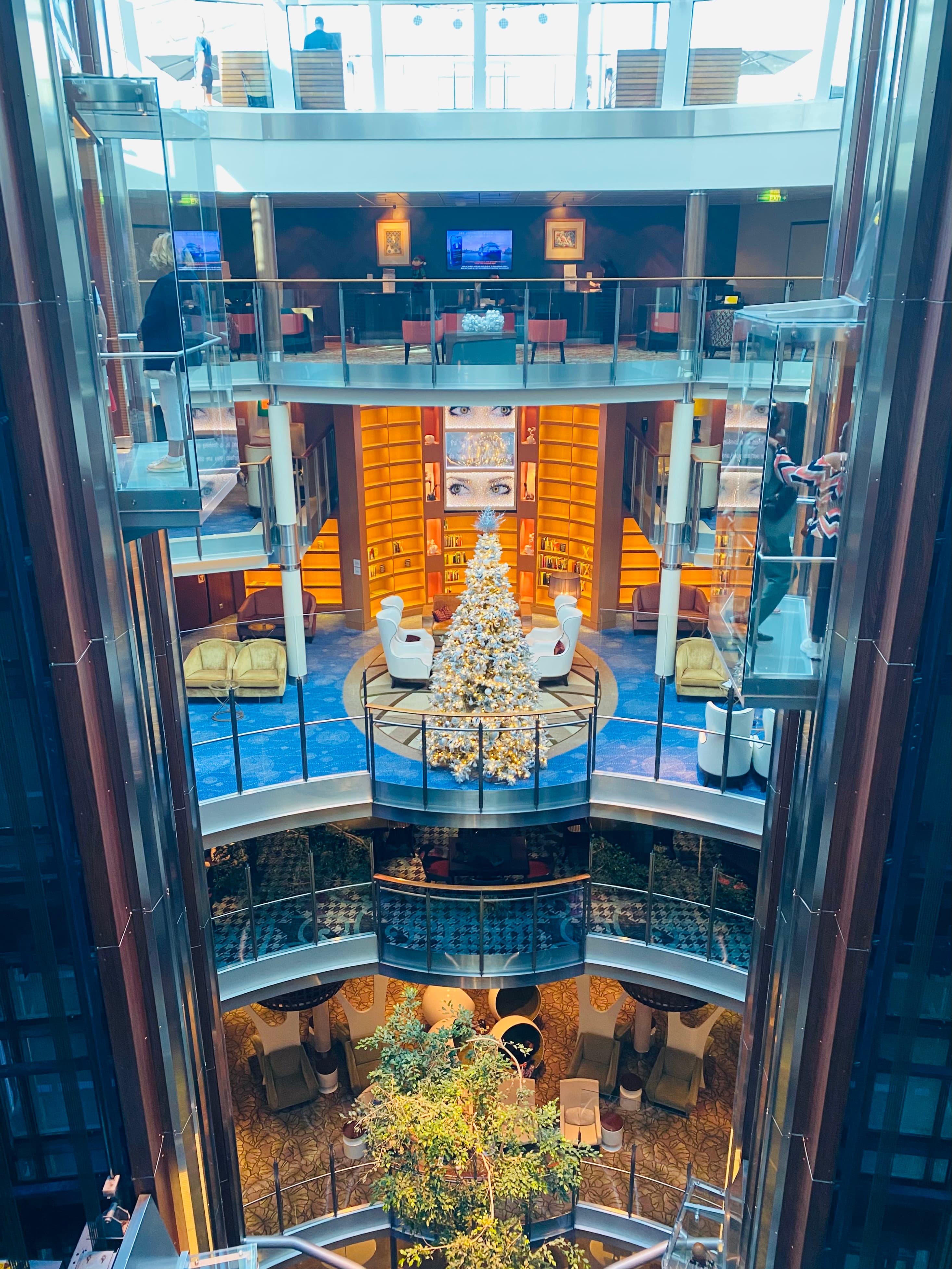 A Family Reunion Cruise to Remember curated by Stephanie Avello