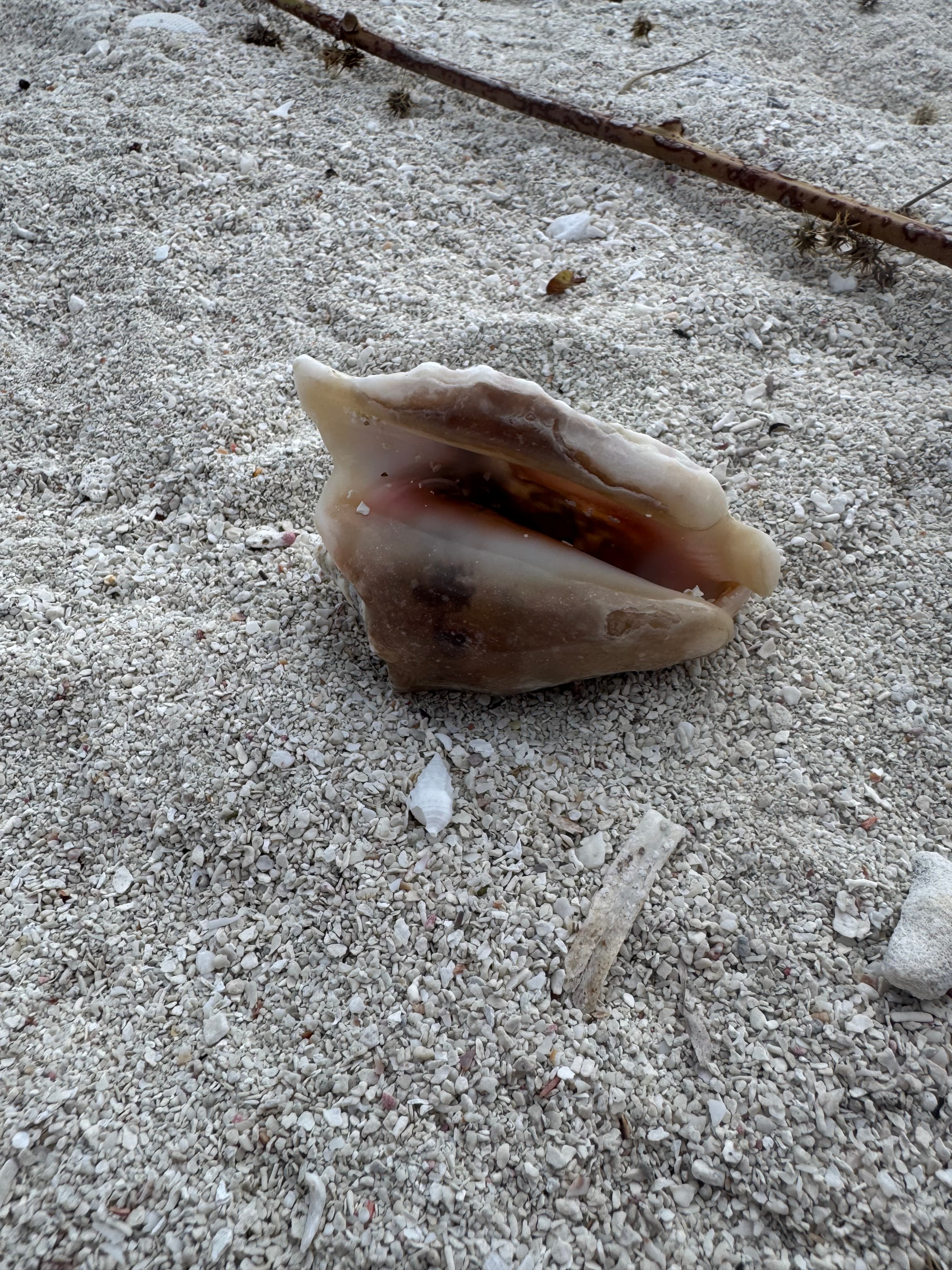 Marathon, Florida: What to Do & Where to Eat curated by Lisa McClain