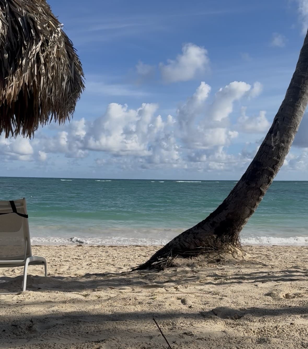 The Ultimate Relaxation Destination: Punta Cana, Dominican Republic curated by Sam Acevedo