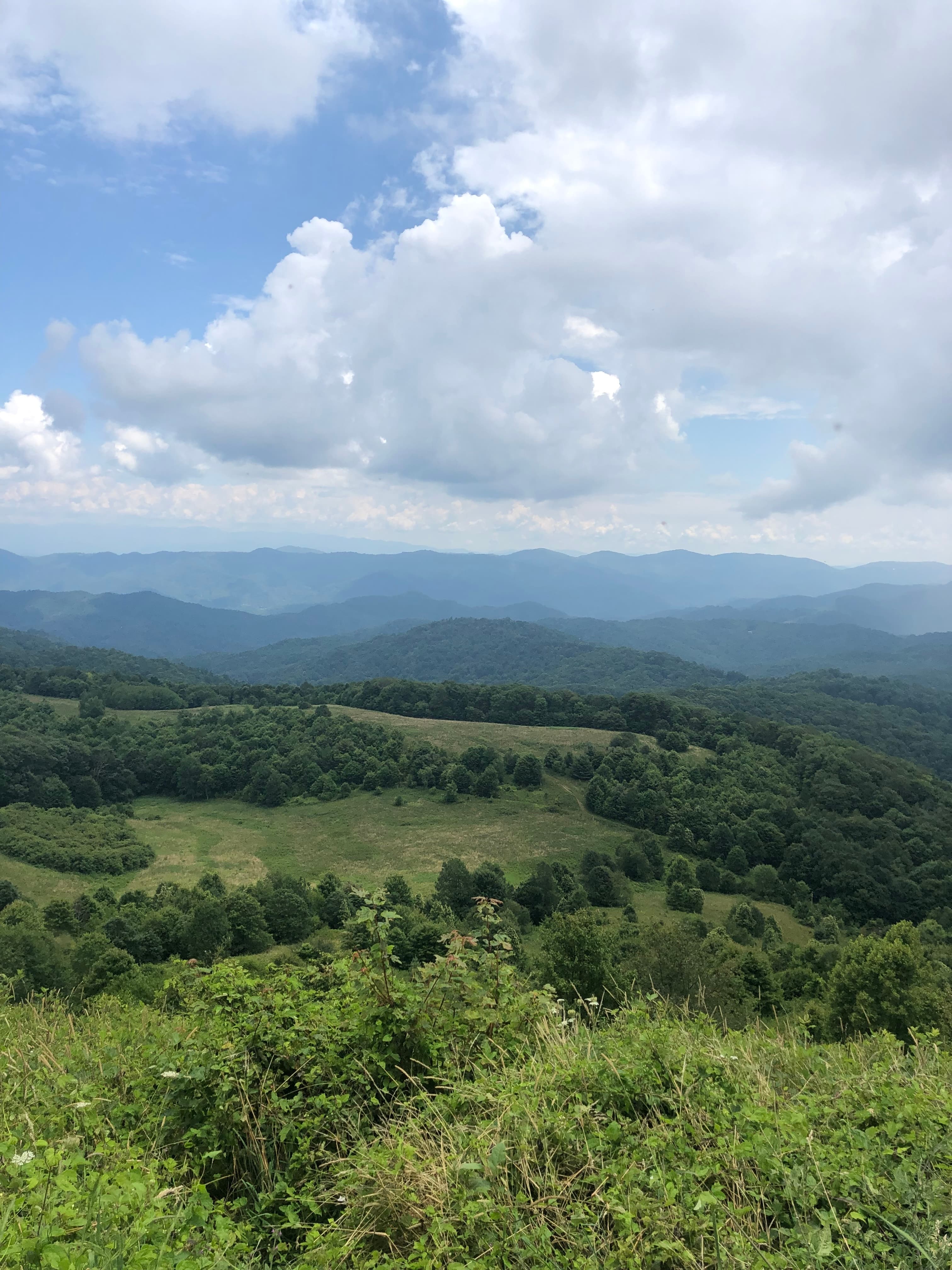 Asheville, NC: For the Outdoor Seeker and the Gourmand curated by Lawren Desai