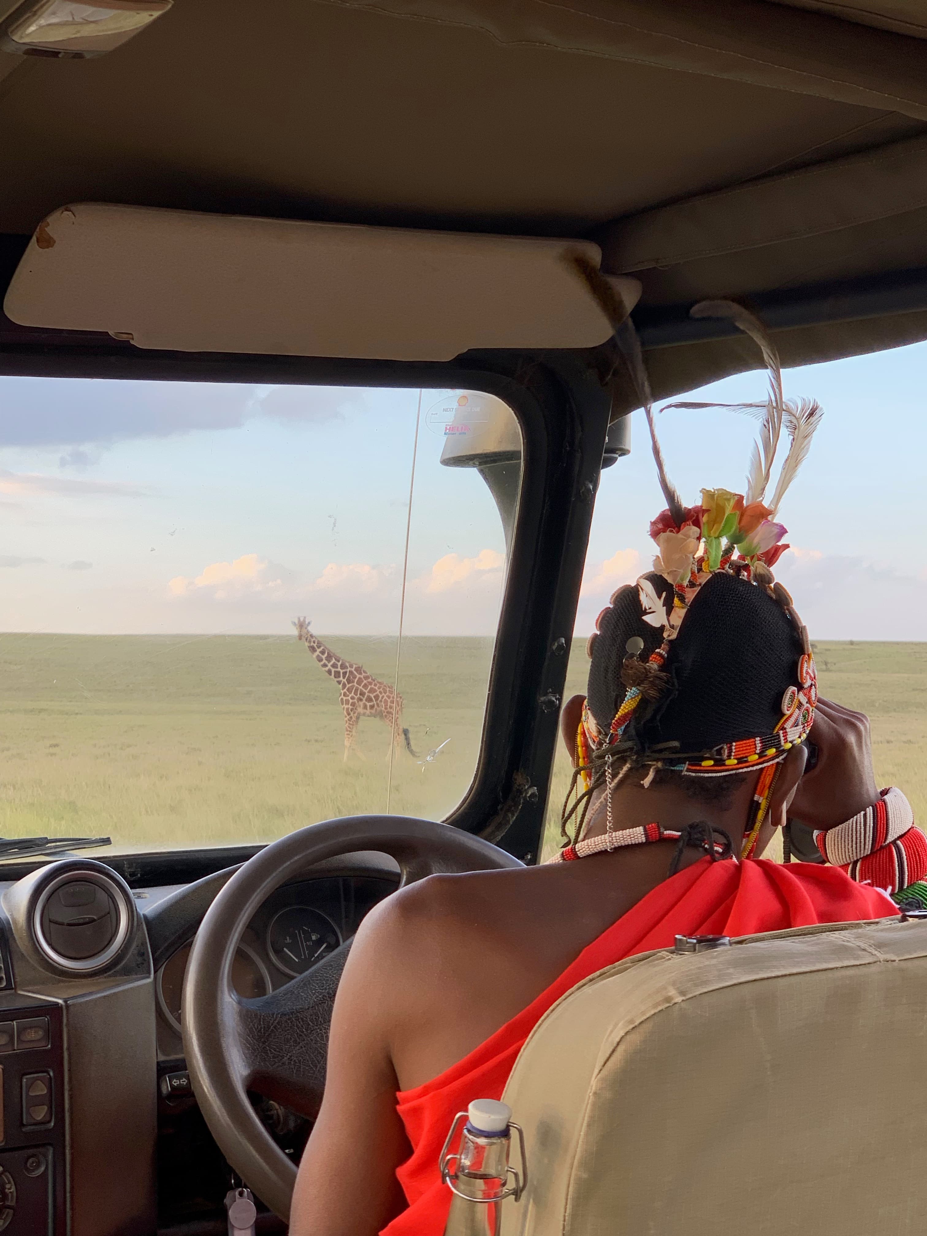 A Journey into the Wild: A Refined Luxury Safari Through Africa curated by Alberto Mussali