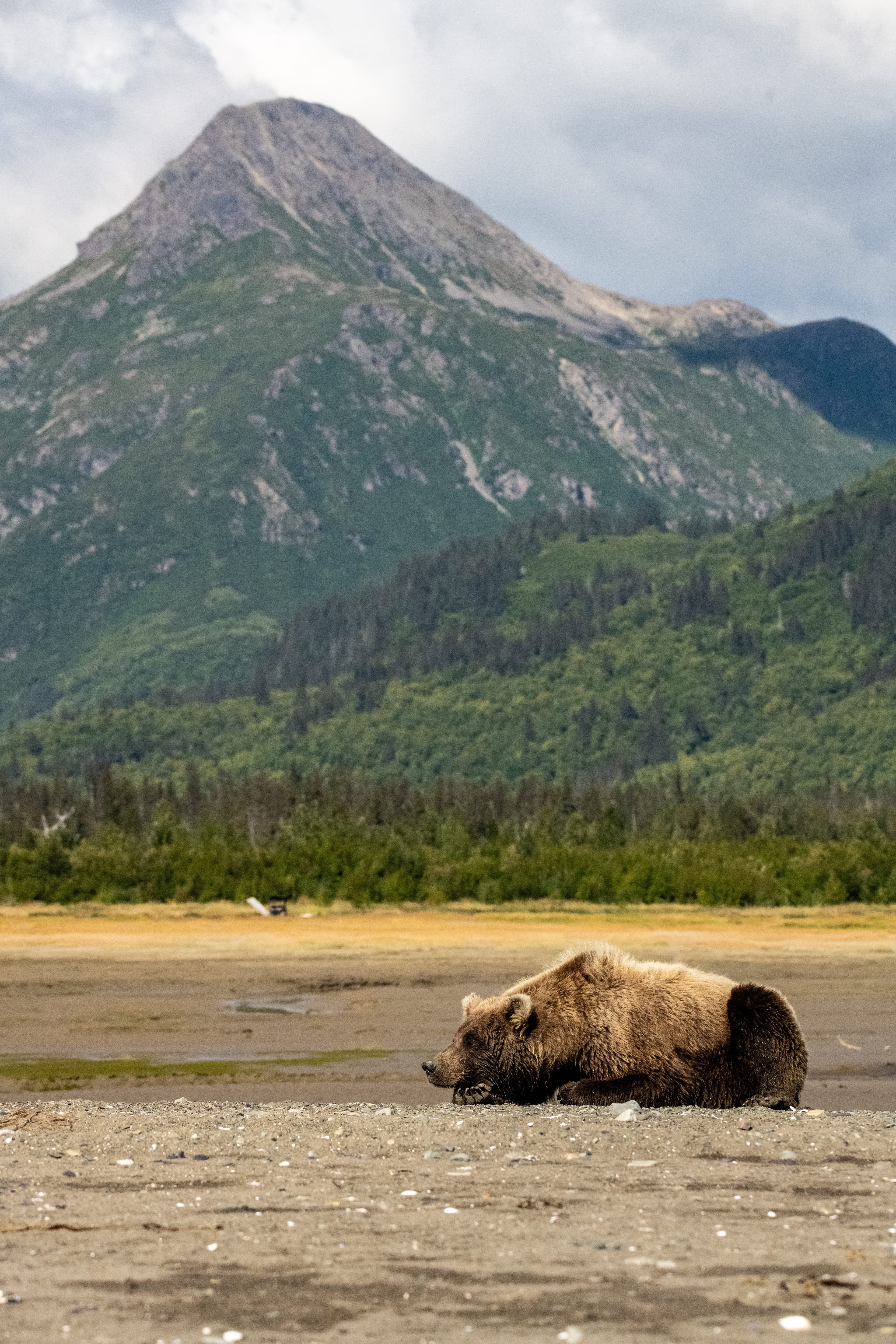 A Long Weekend in Alaska curated by Maggie Hopkirk