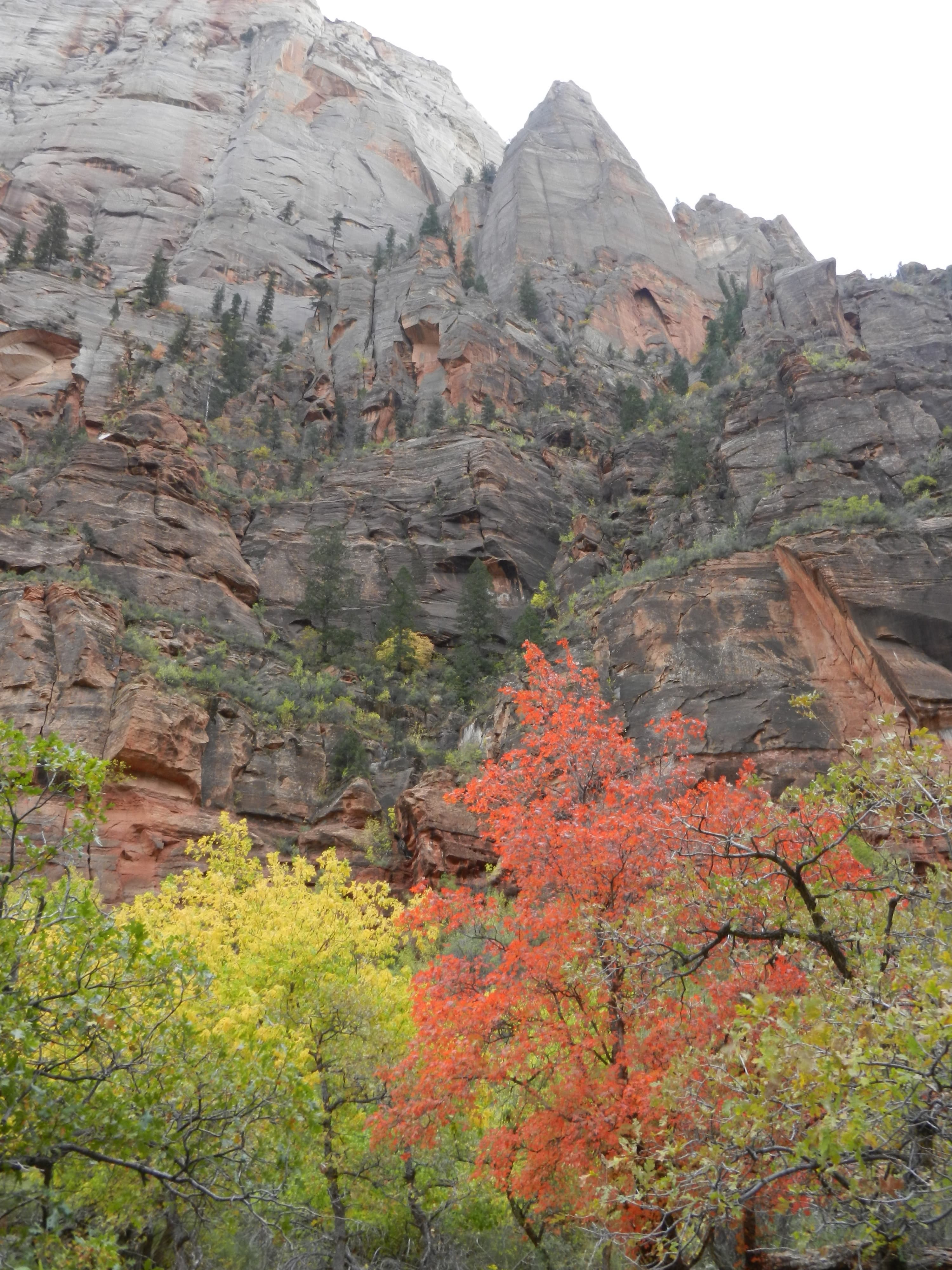 Travel photo 1