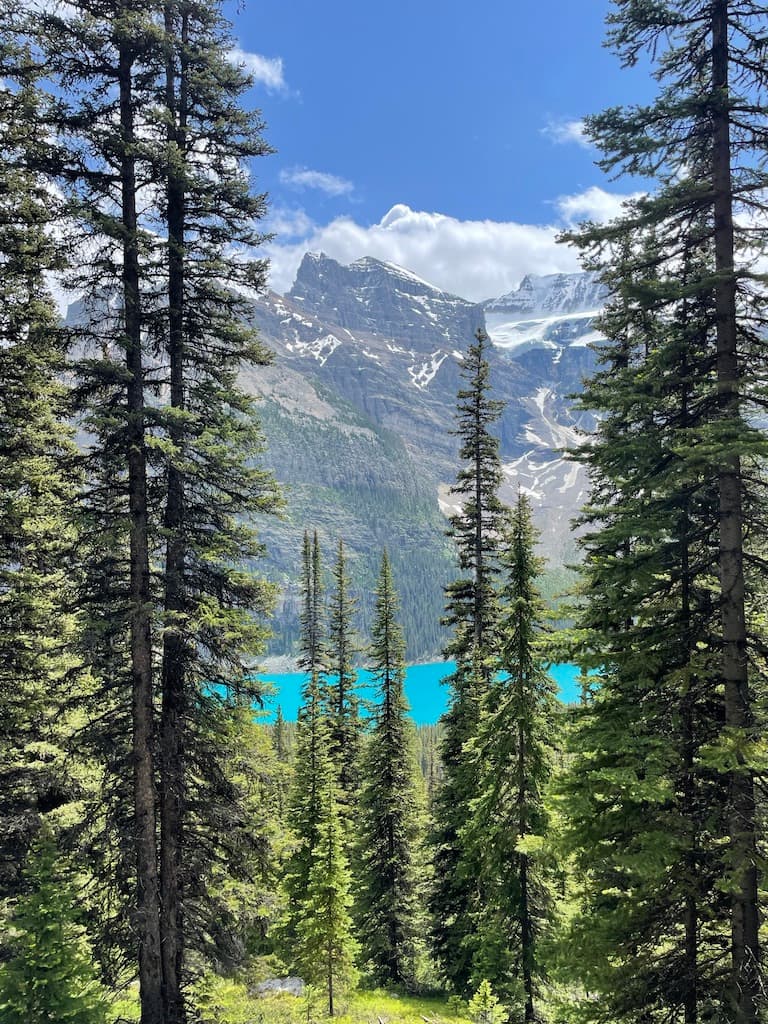 Canadian Rockies Road Trip: 4- to 6-Day Guide to Banff National Park & Beyond curated by Kerrylynn Regan