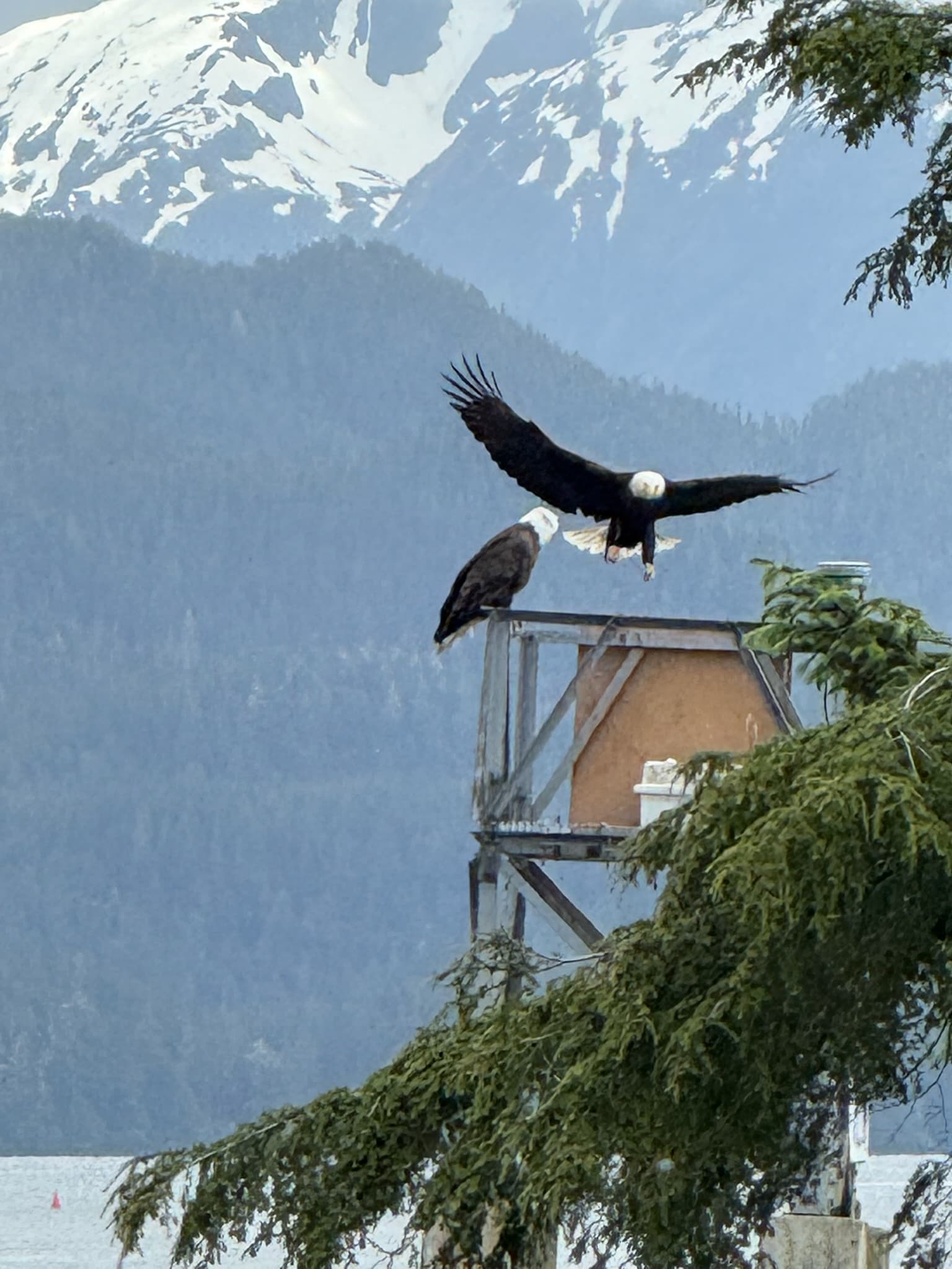 Alaskan Girls' Trip curated by Mandy Wisenbaker