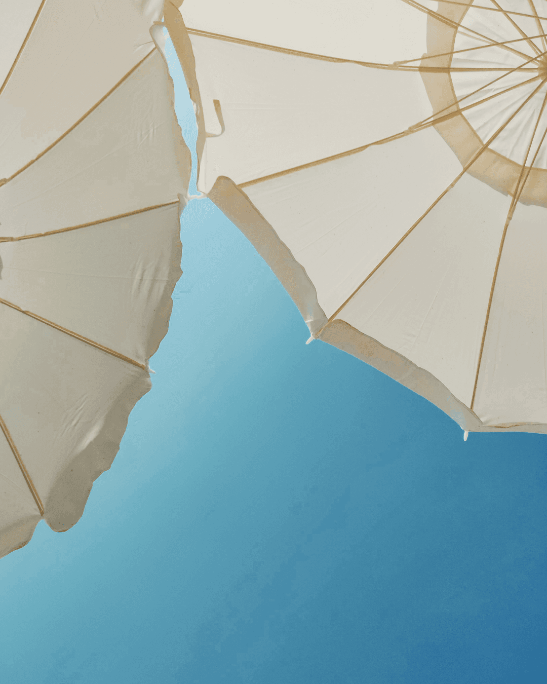 The Florida Destinations I Return to Time and Time Again curated by Annie Goldman