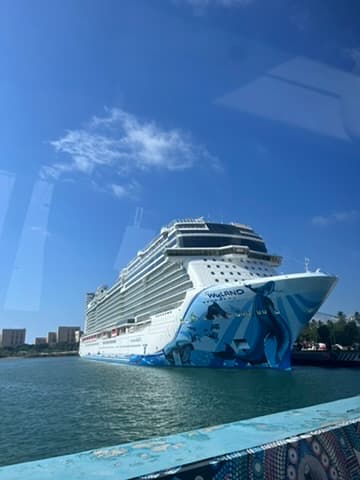 Sailing South to Mexico on the Norwegian Bliss curated by Lisa Verbeck