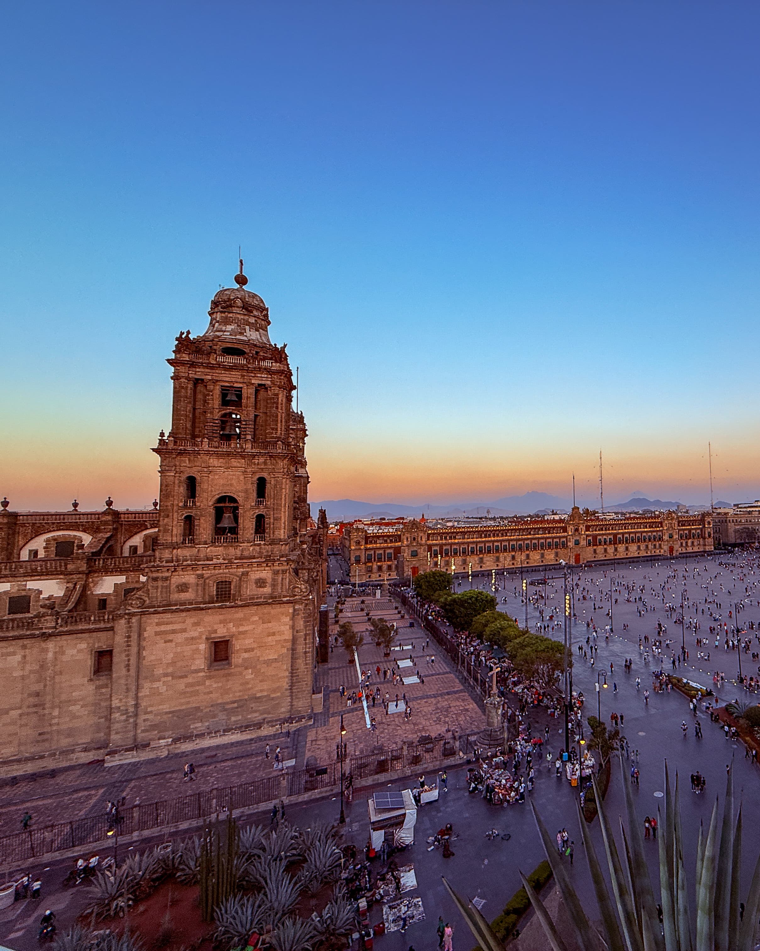 CDMX: Dining, Design, and Neighborhood Flavors curated by Trina Henry