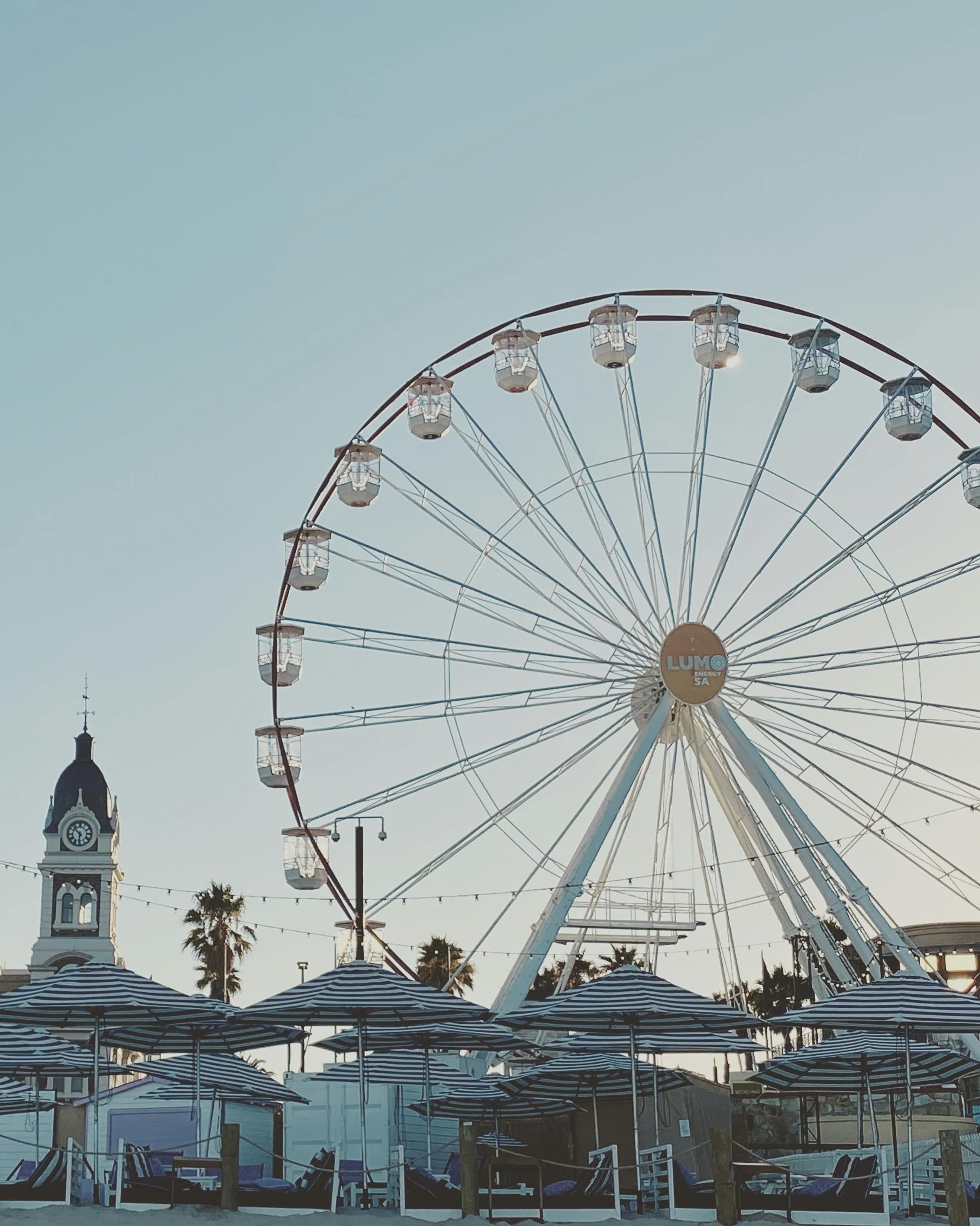 Disney World or Dollywood: Which One Is Right for Your Next Family Trip? curated by Marybeth Brown