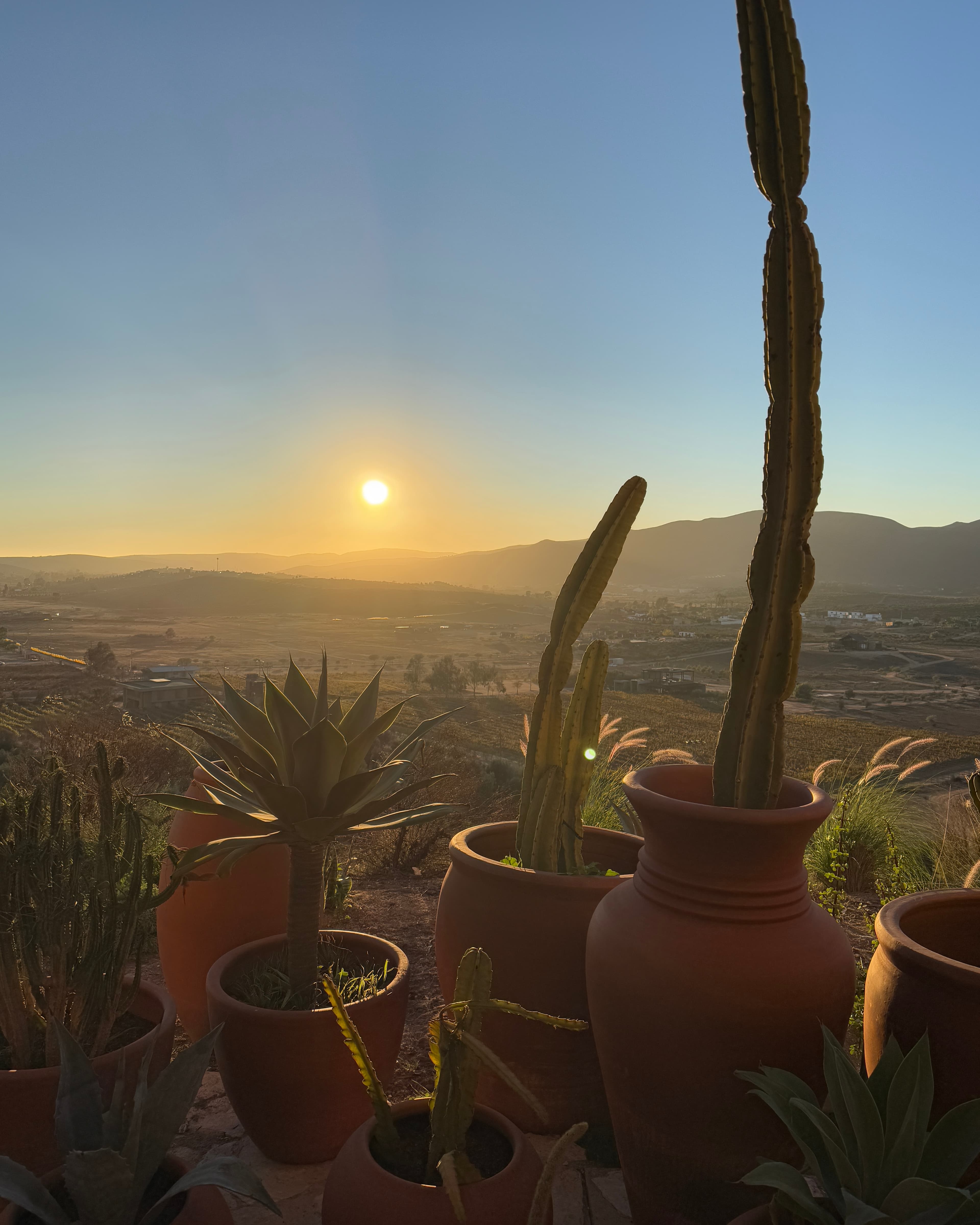 Valle de Guadalupe: Mexico's Wine Country for the Perpetually Exhausted curated by Carlos Blanco