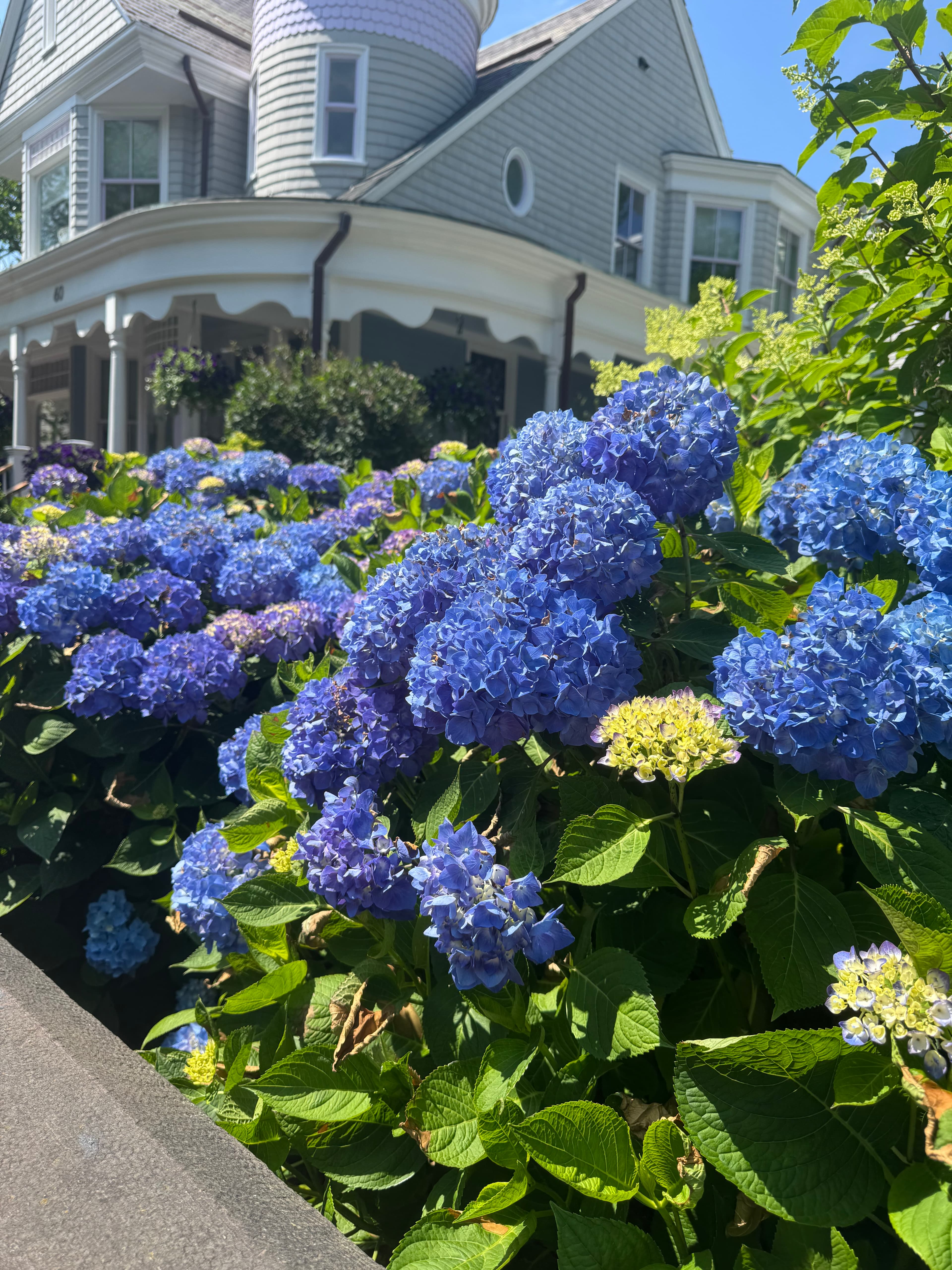 Weekend Getaway to Newport, Rhode Island curated by Susie Pryfogle