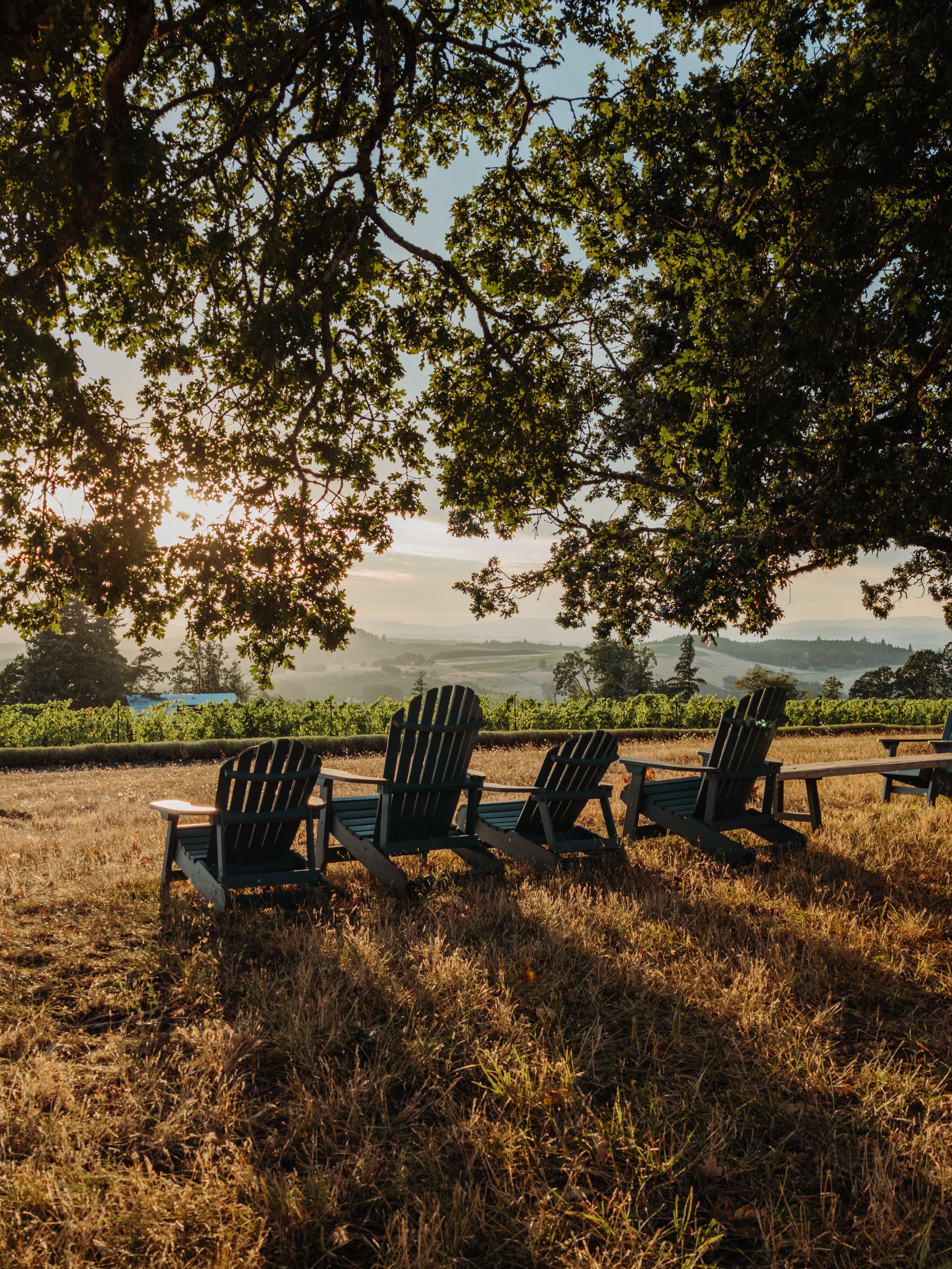 Food, Wine & Laid-Back Luxury: A Willamette Valley Guide curated by Laura McGlynn