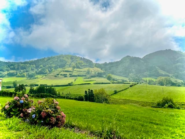 A Week Exploring São Miguel curated by Haley Rego