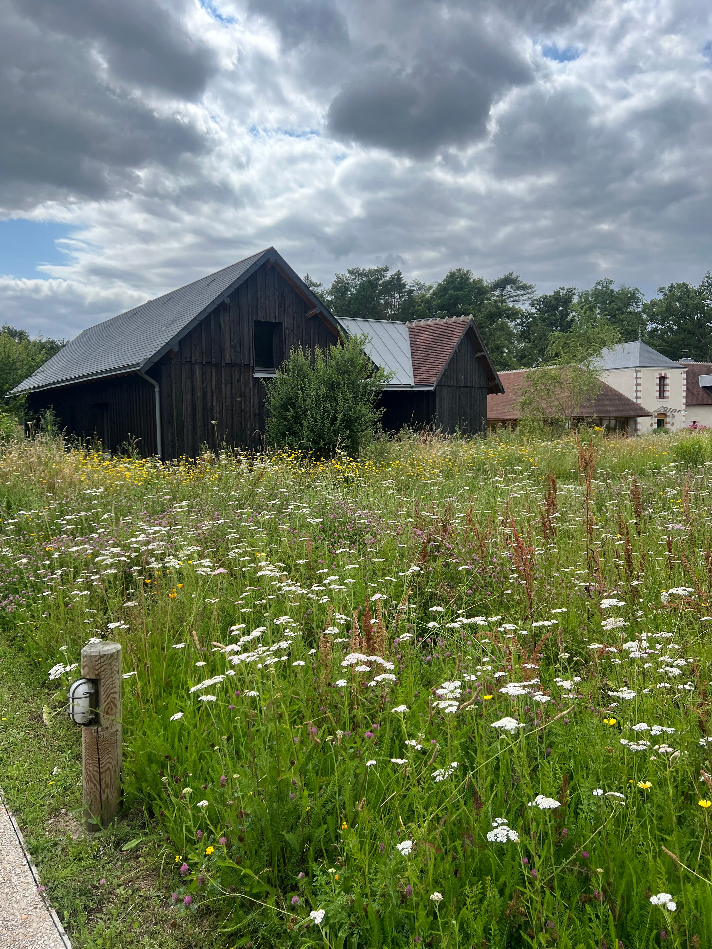 Loire Valley Girls' Getaway curated by Deirdre Schwiring