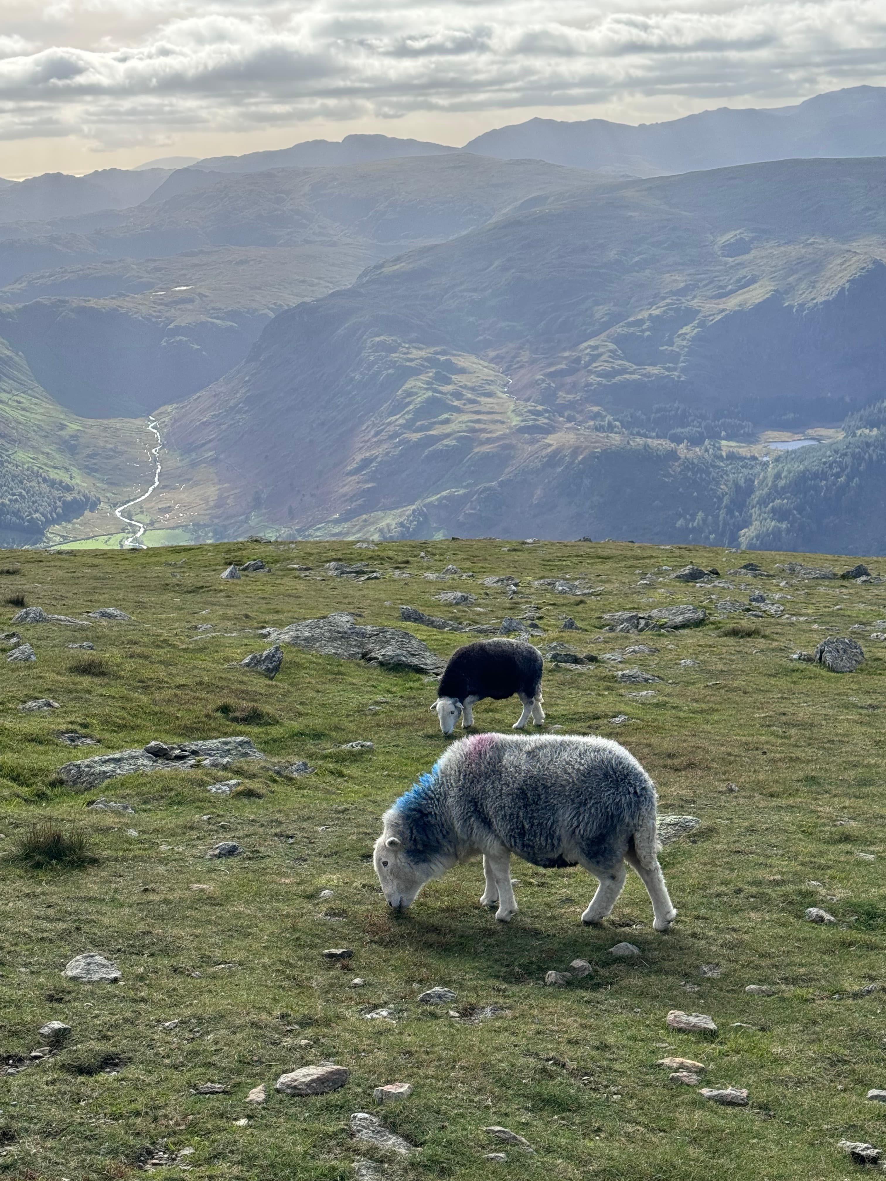 Escape to the Lake District, England curated by Marlene O'Brien