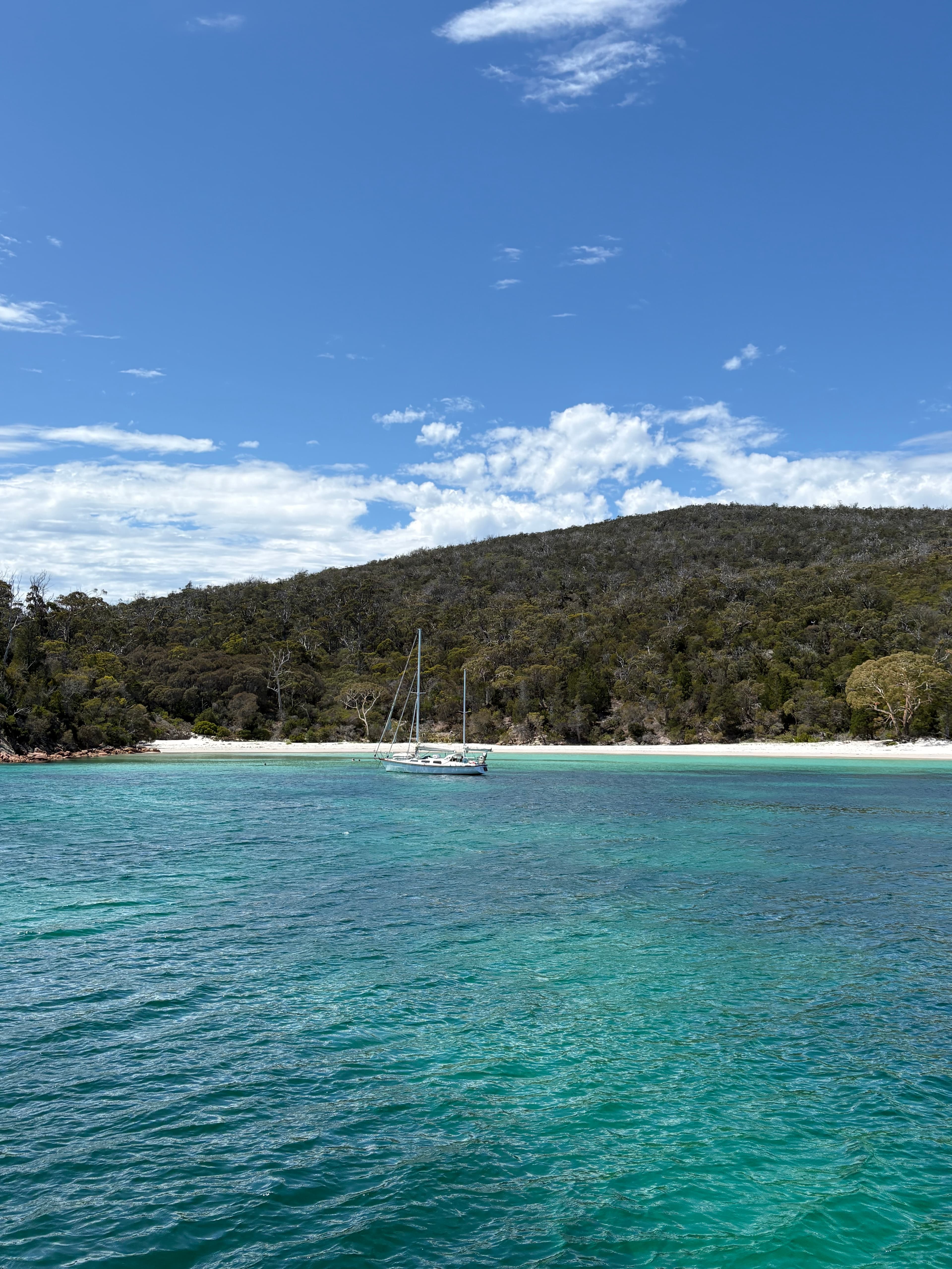 Tasmania's Treasures curated by Marci Mulvehill