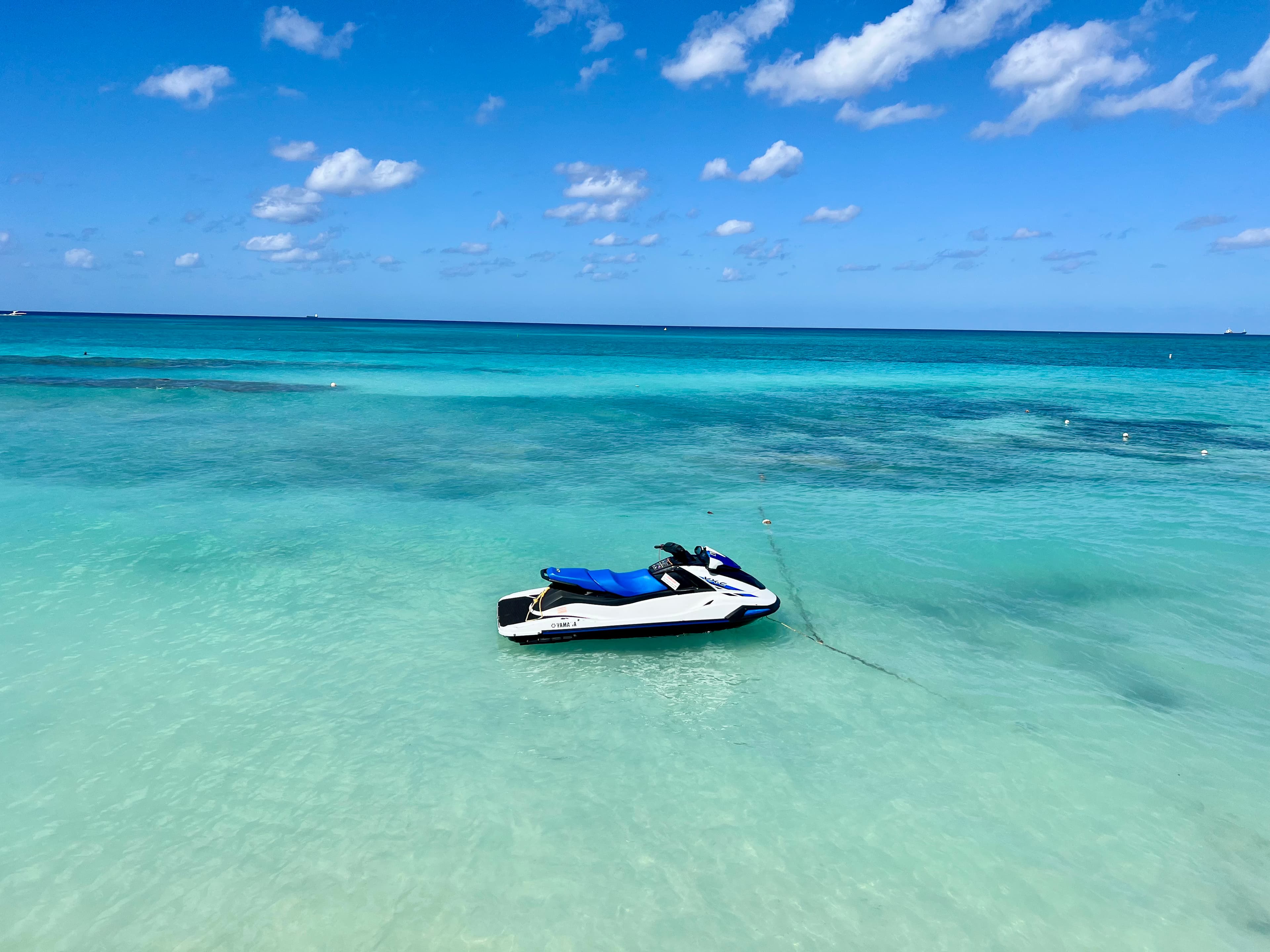 Grand Cayman in the Caribbean: A Curated Guide curated by Lauren Natalino