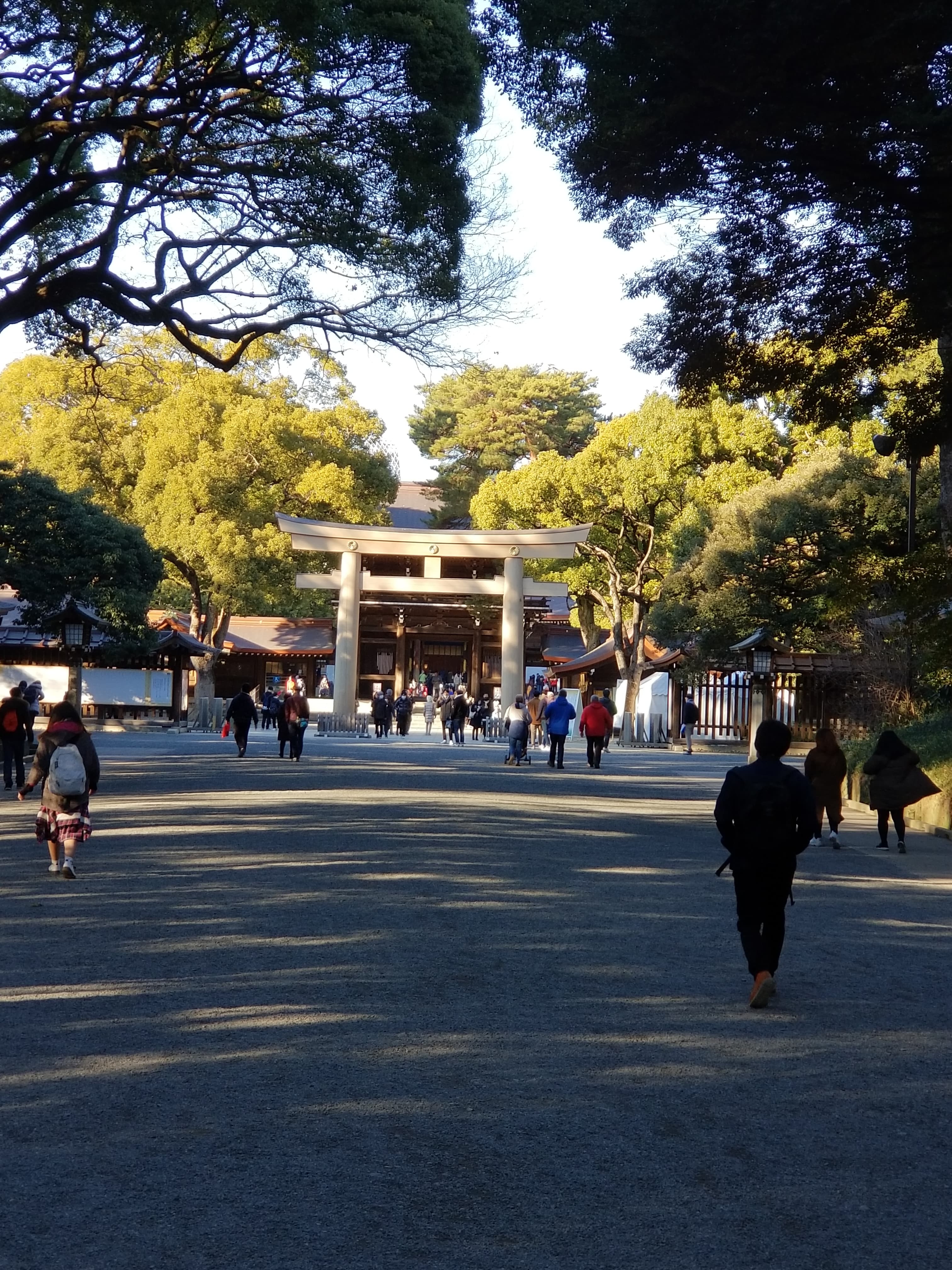 Travel photo 8