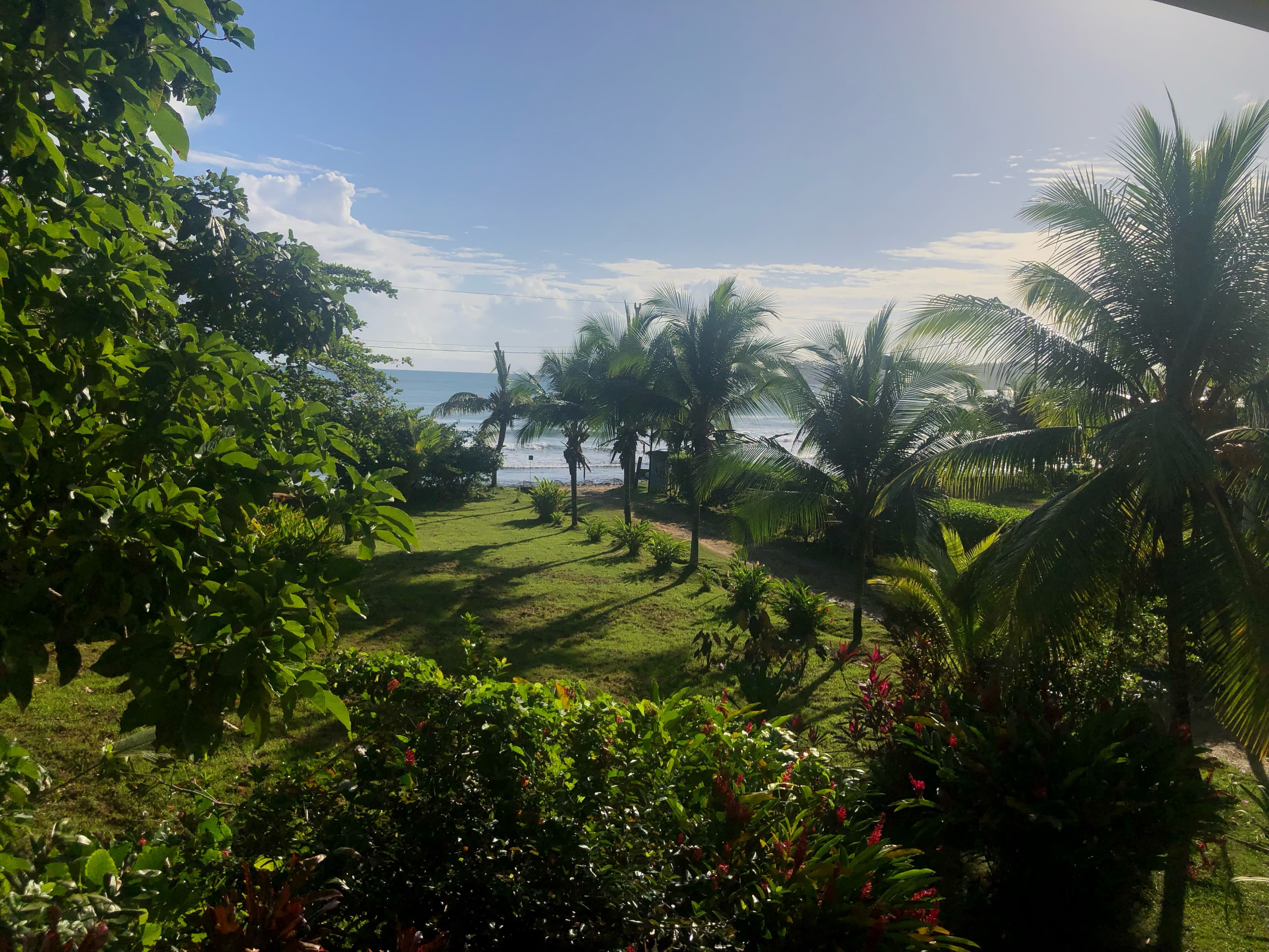 A Guide to Bocas del Toro, Panama curated by Beni DiVasta