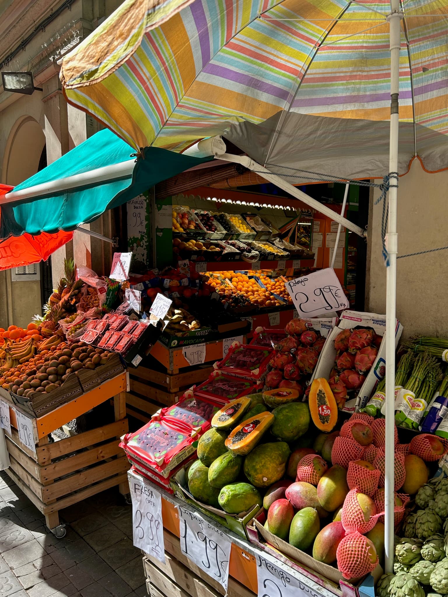Barcelona in Bloom: Food, Feelings & Famous Sights curated by Barbara Campbell