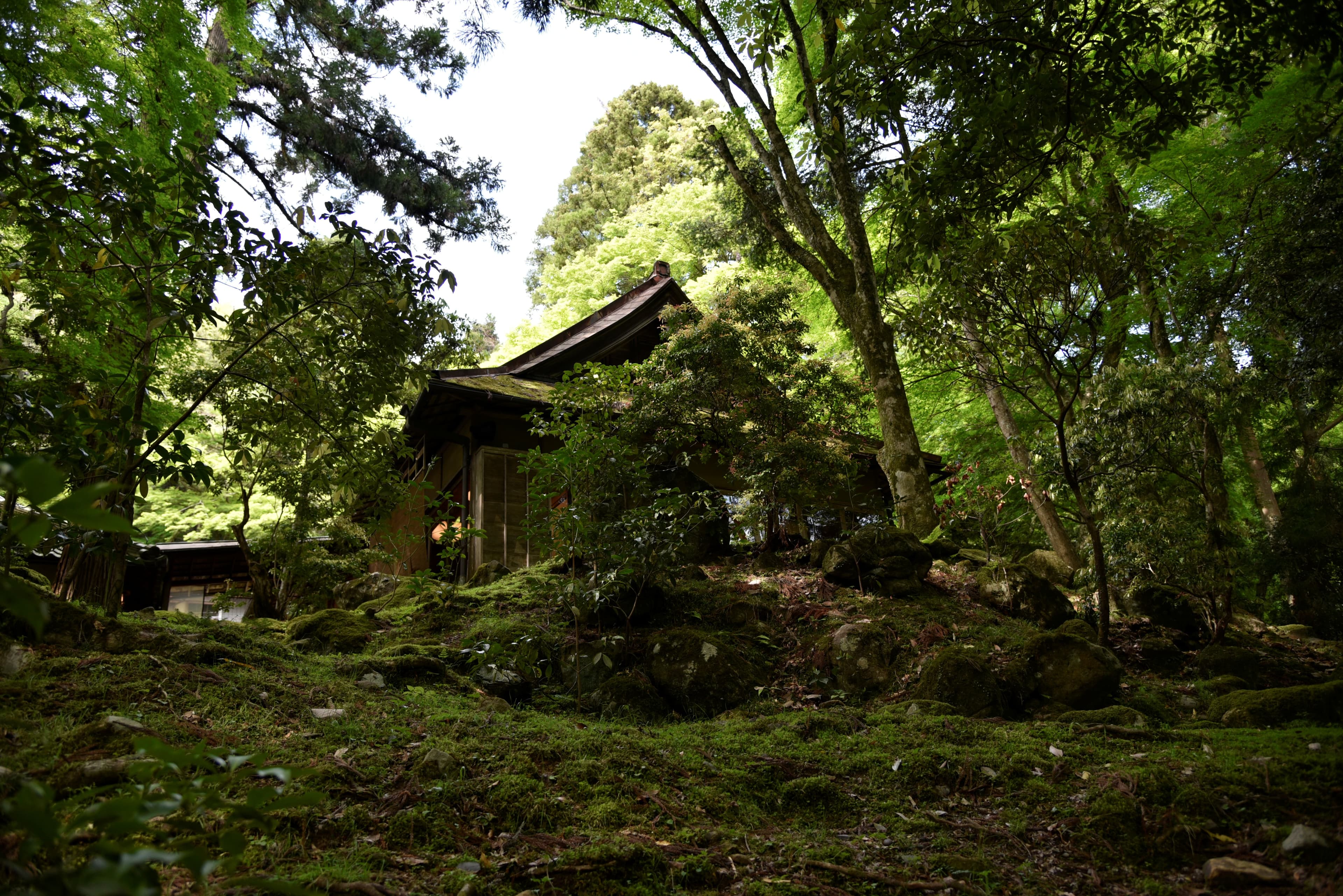 Travel photo 7