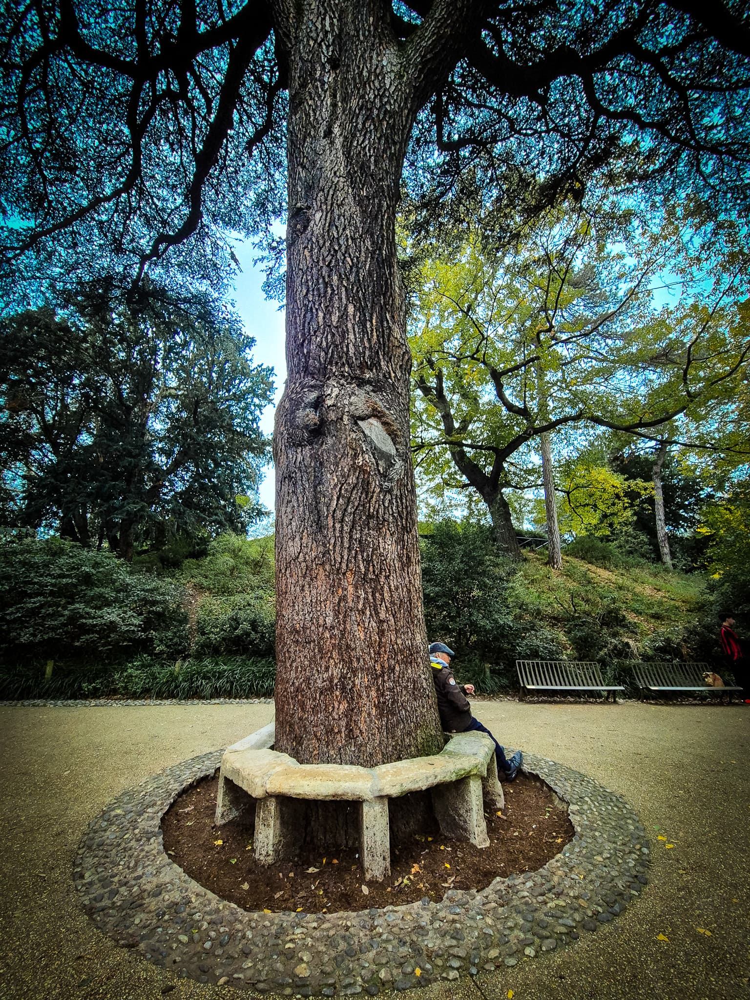 The Zen Traveler’s Guide to Gardens in Paris: A Curated Map of Calm Across All 20 Arrondissements curated by Michael Huffman