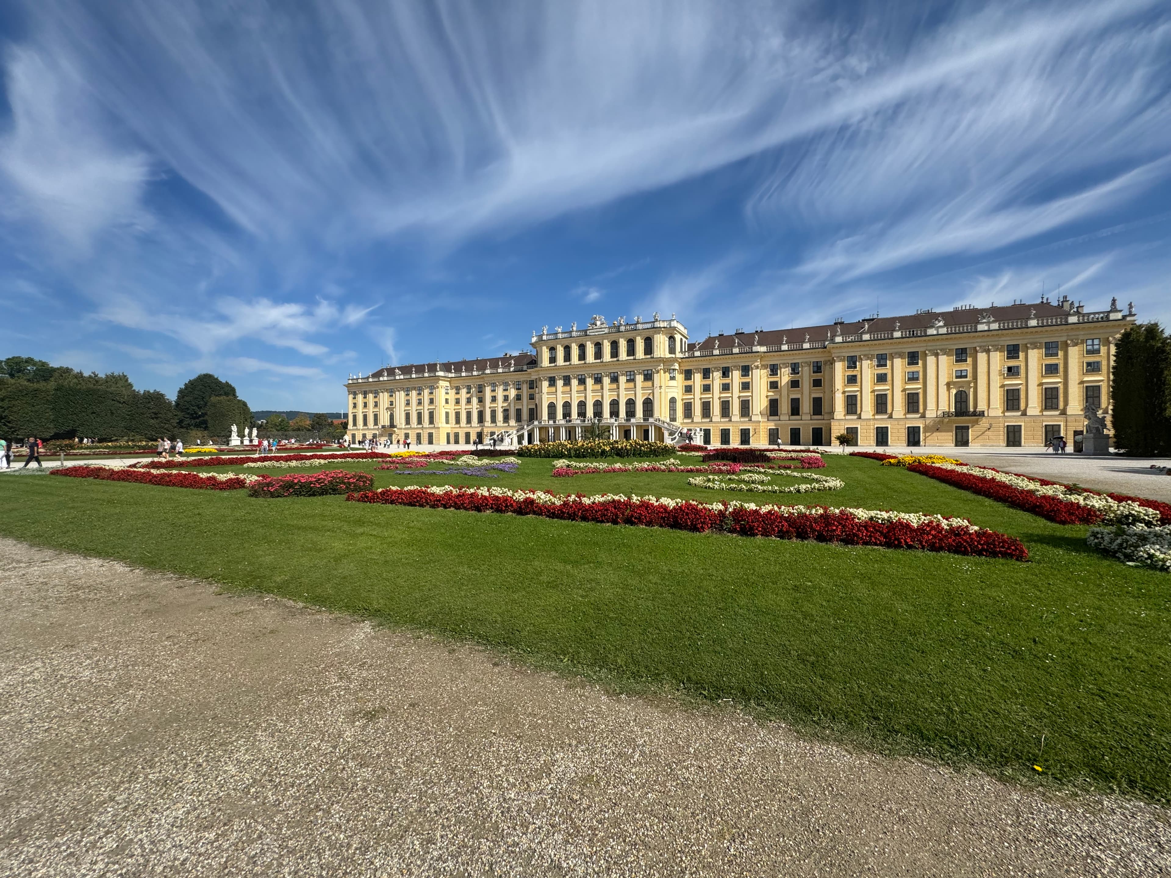 Vienna in Bloom: Cafés, Culture & Classical Charm curated by Adam Sverak