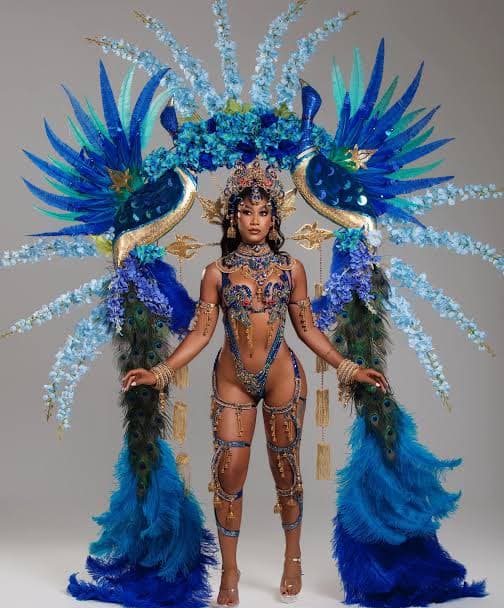 Boyz Trini Carnival 2027 curated by Erika Del Cid