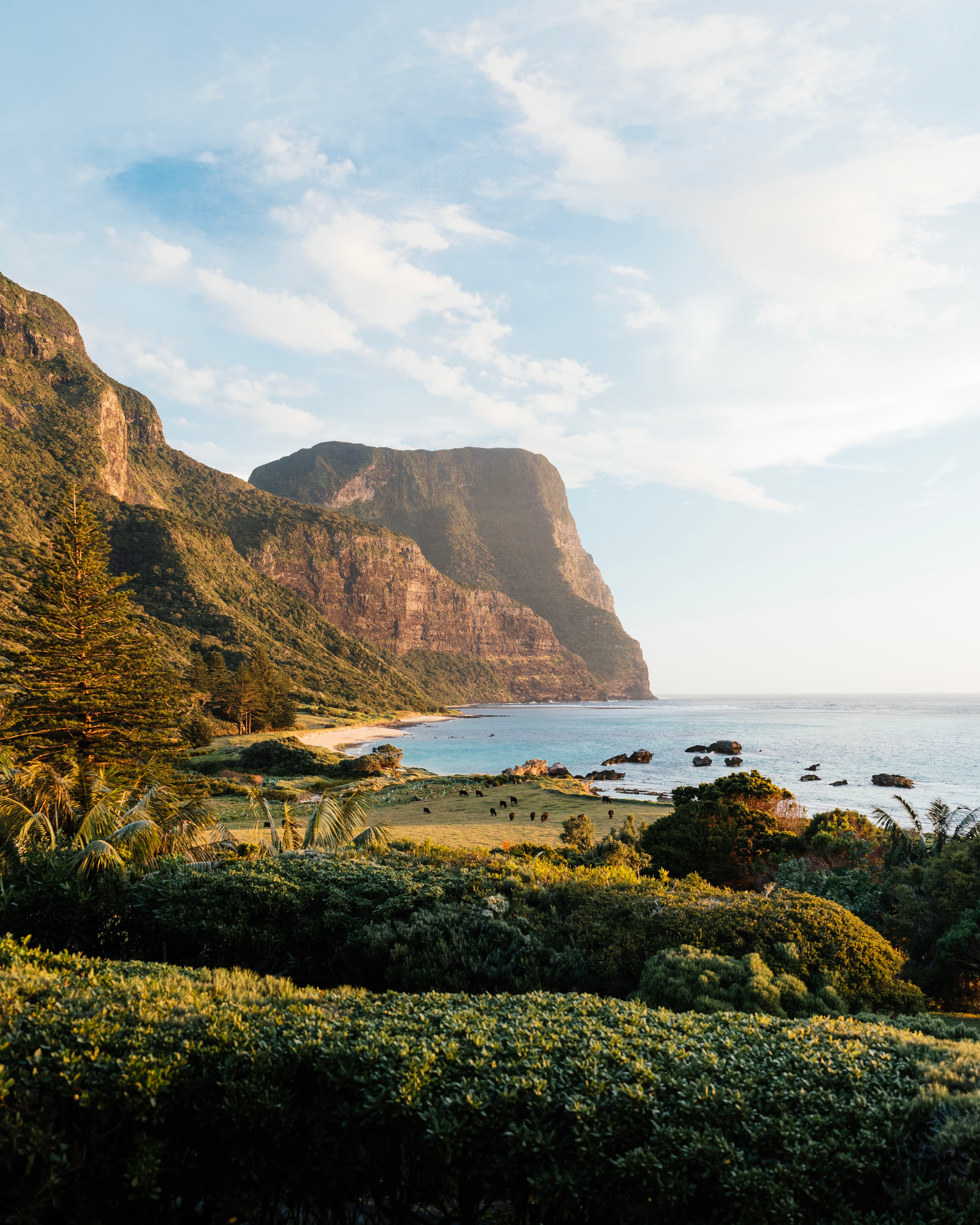 A Paradise Left Entirely Wild: A Luxury Guide to Lord Howe Island curated by Marius Inisconi