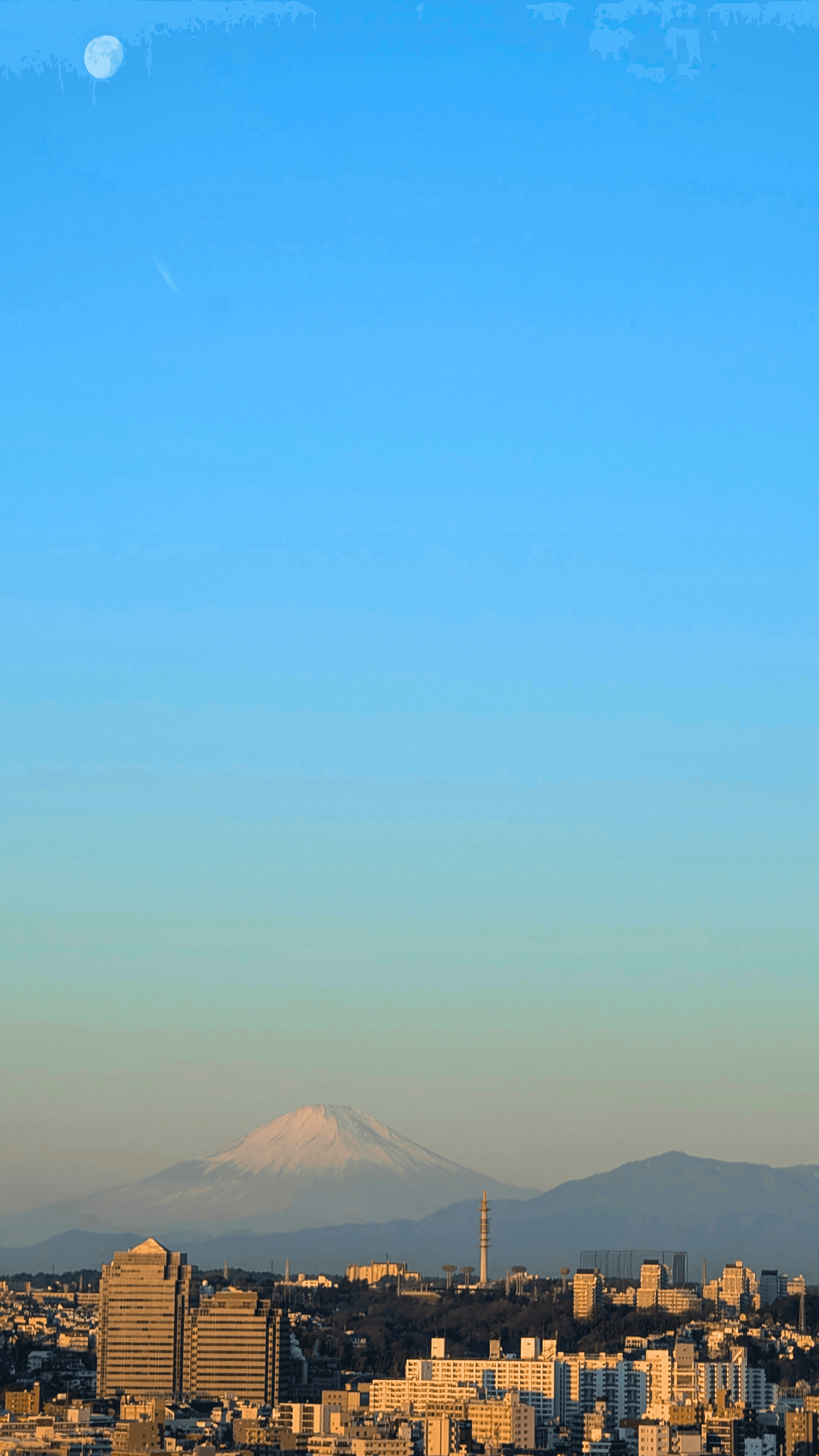 Where Tradition Meets Innovation Beyond Tokyo curated by Darlene Cuozzi