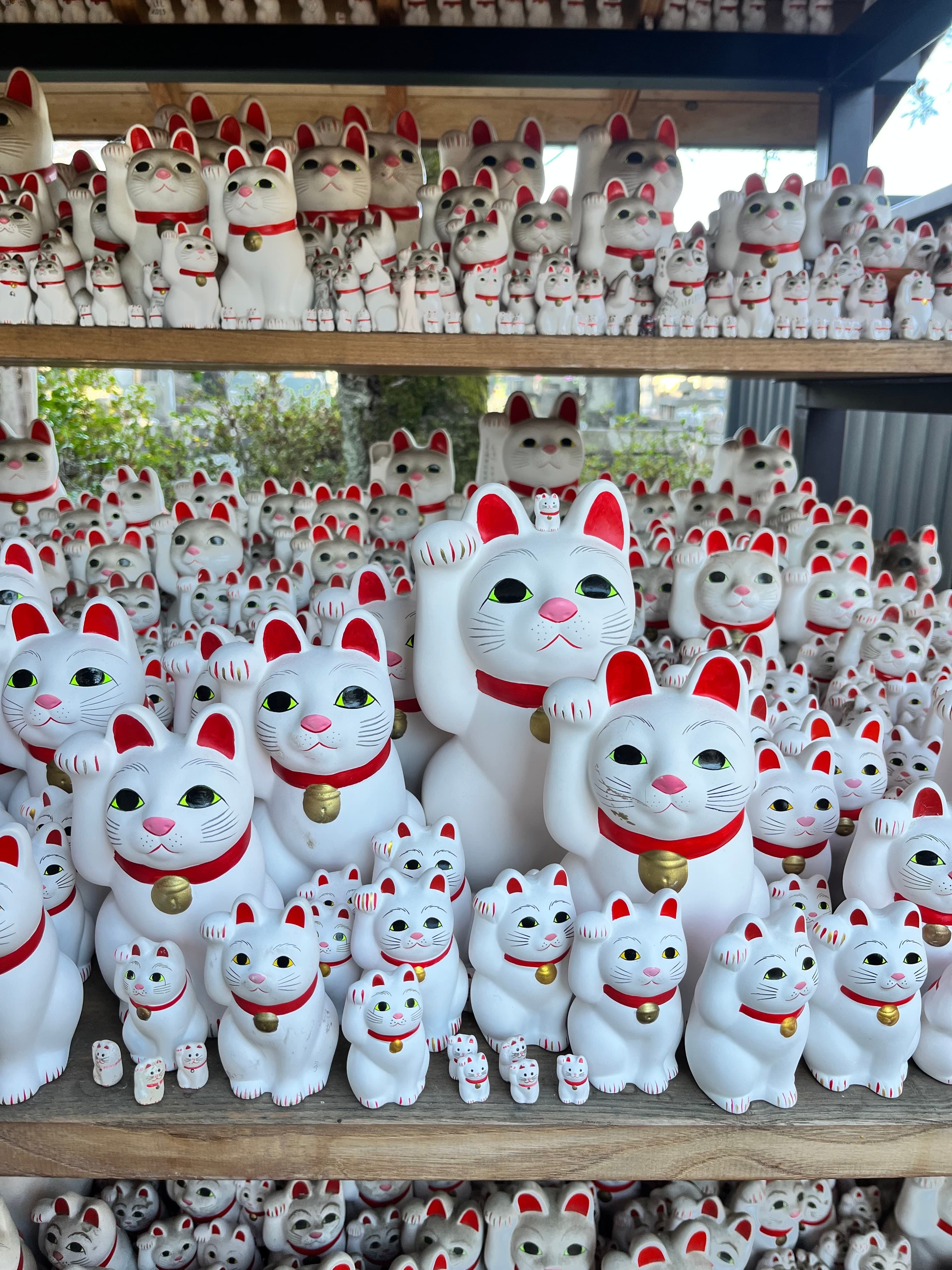 Tokyo: Endless Adventure in Japan's Capital City curated by Michael Stein