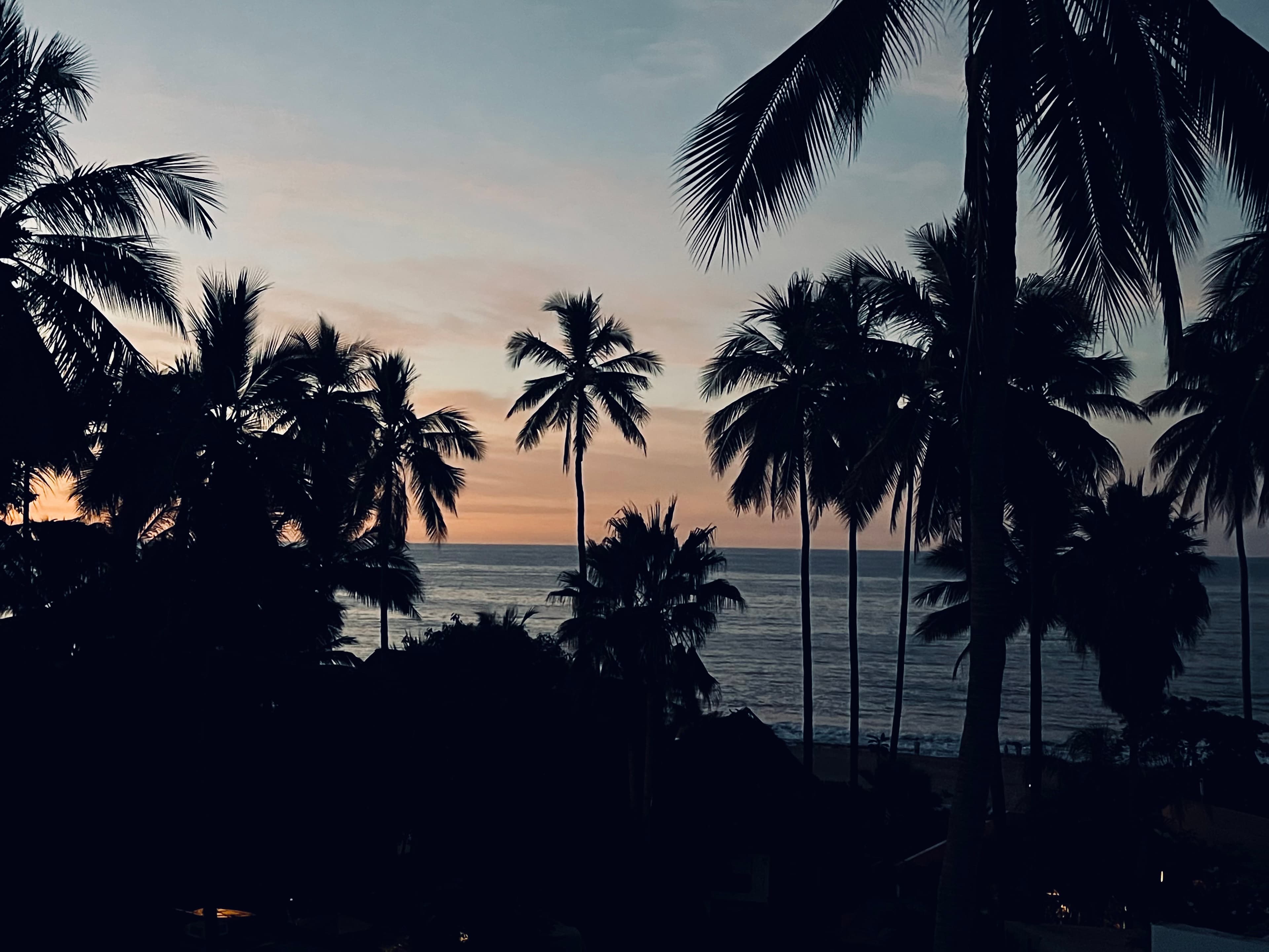 Colorful Streets & Coastal Retreats: A Guide to Sayulita and San Pancho curated by Tara Eichorn