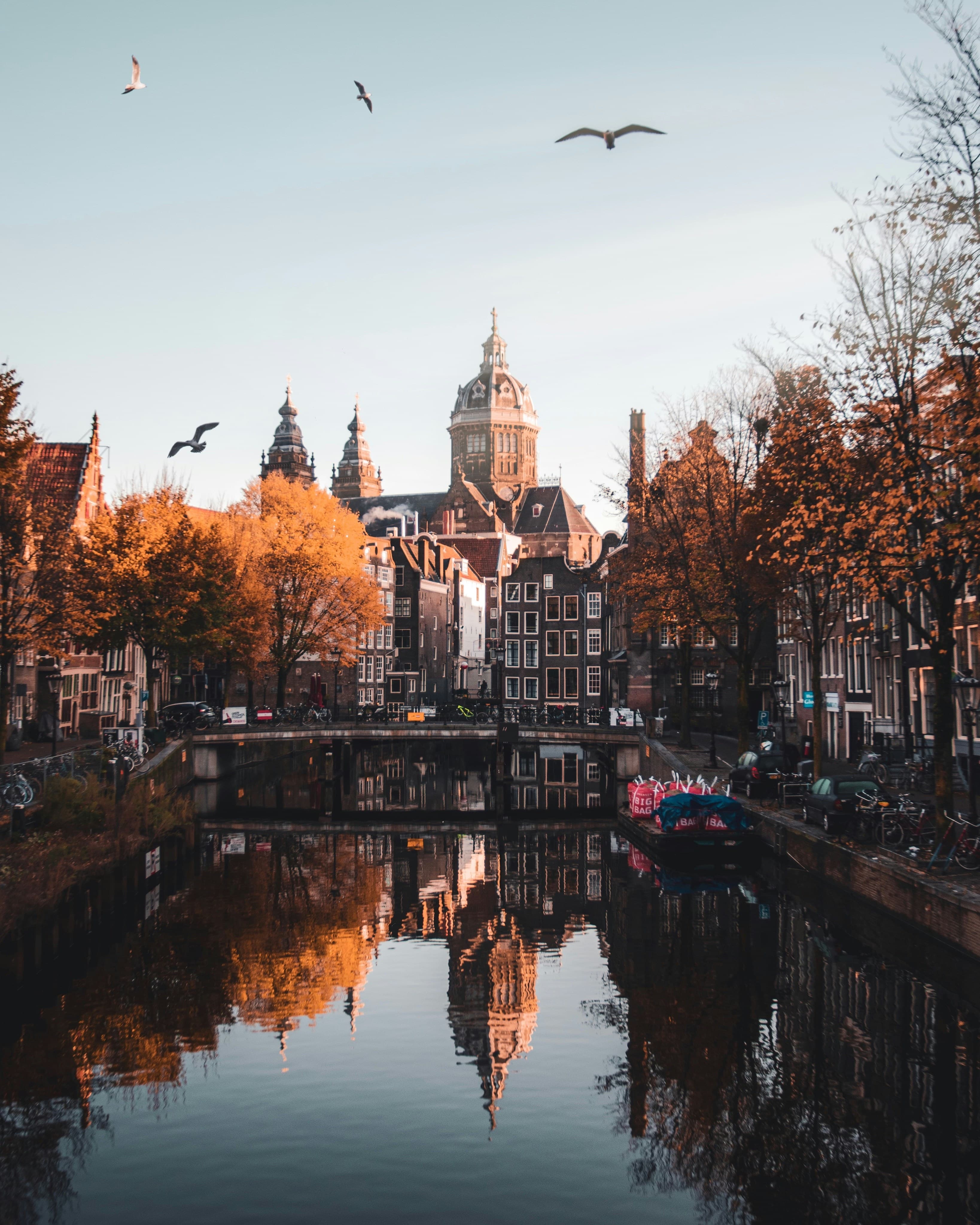Canals & Cobblestones: The Ultimate Local's Guide to Amsterdam curated by Sammy Byrne