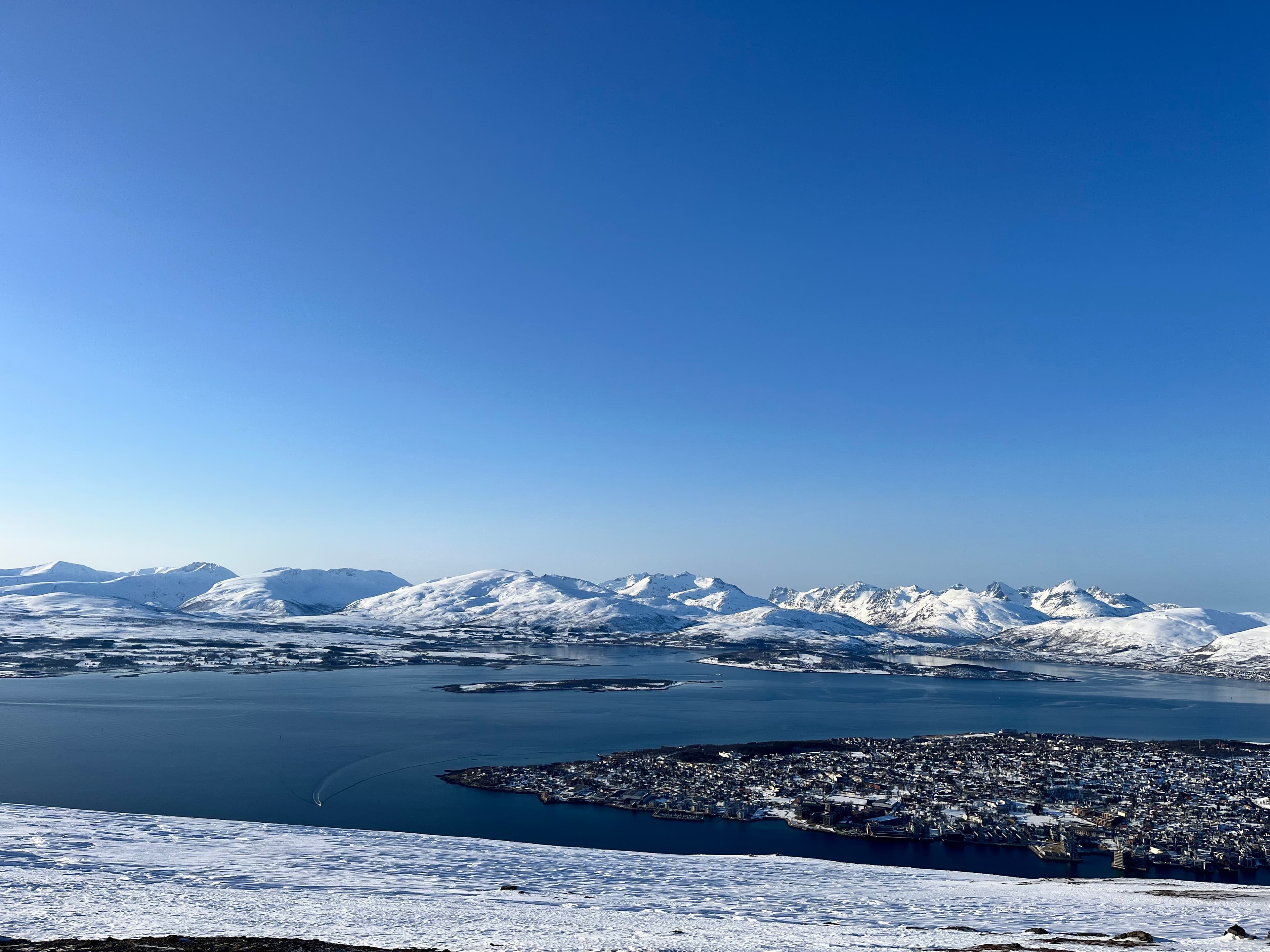 See Tromsø, Norway curated by Michael Stein