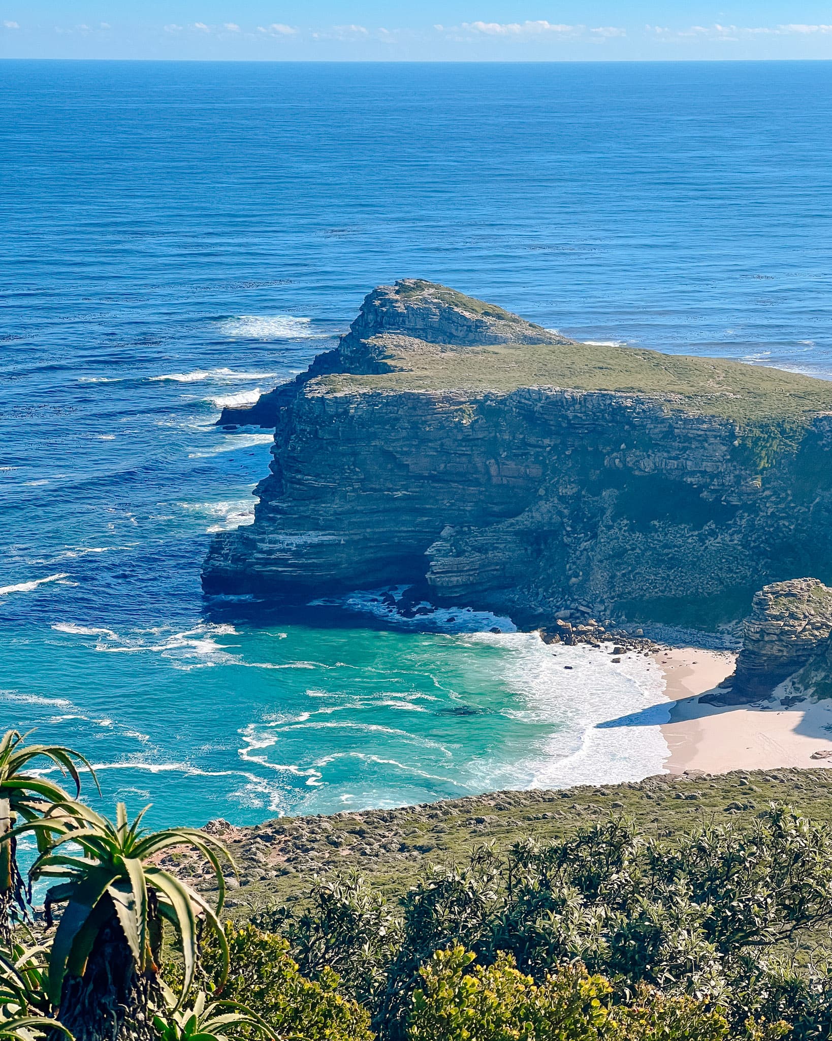 Wildlife-Focused Activities in Cape Town curated by Valeria Sandoval