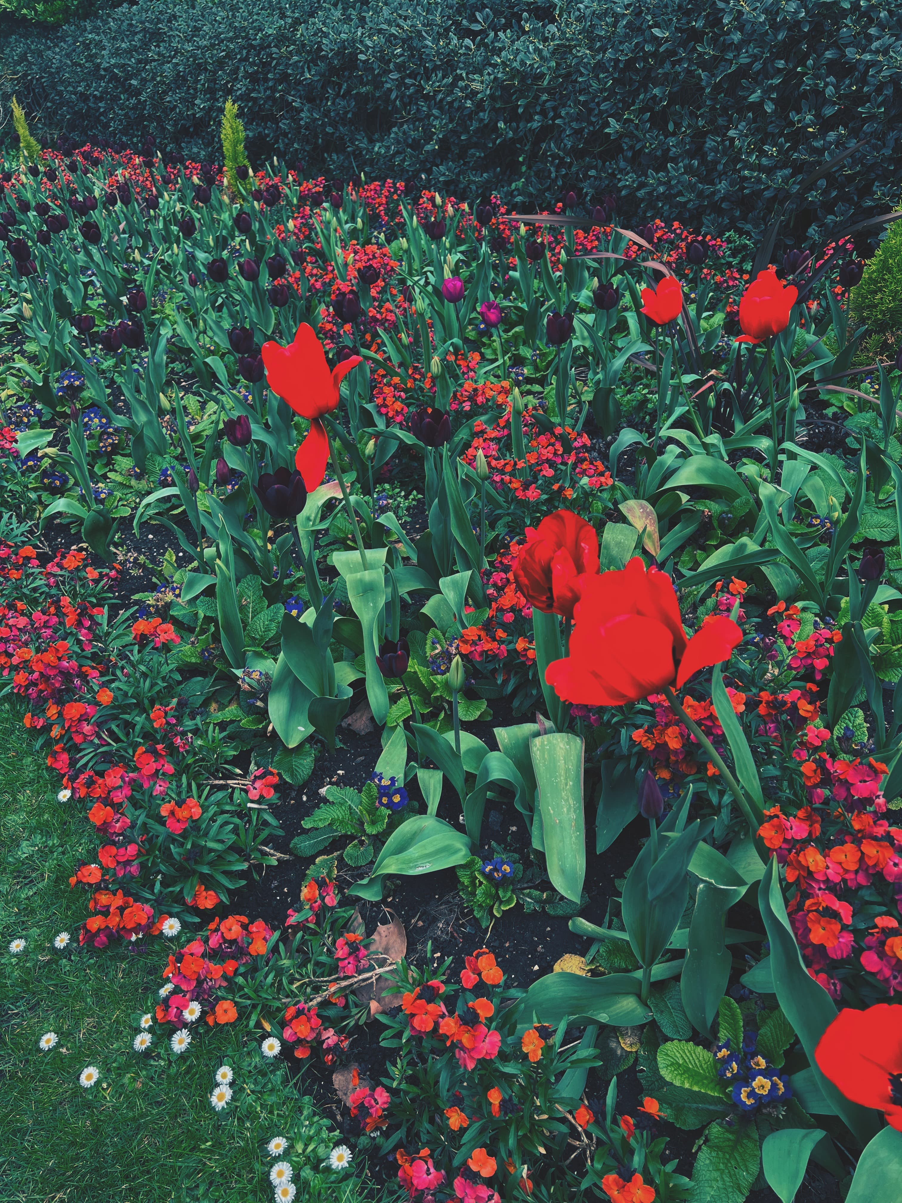 London in the Spring curated by Jennifer Hanley