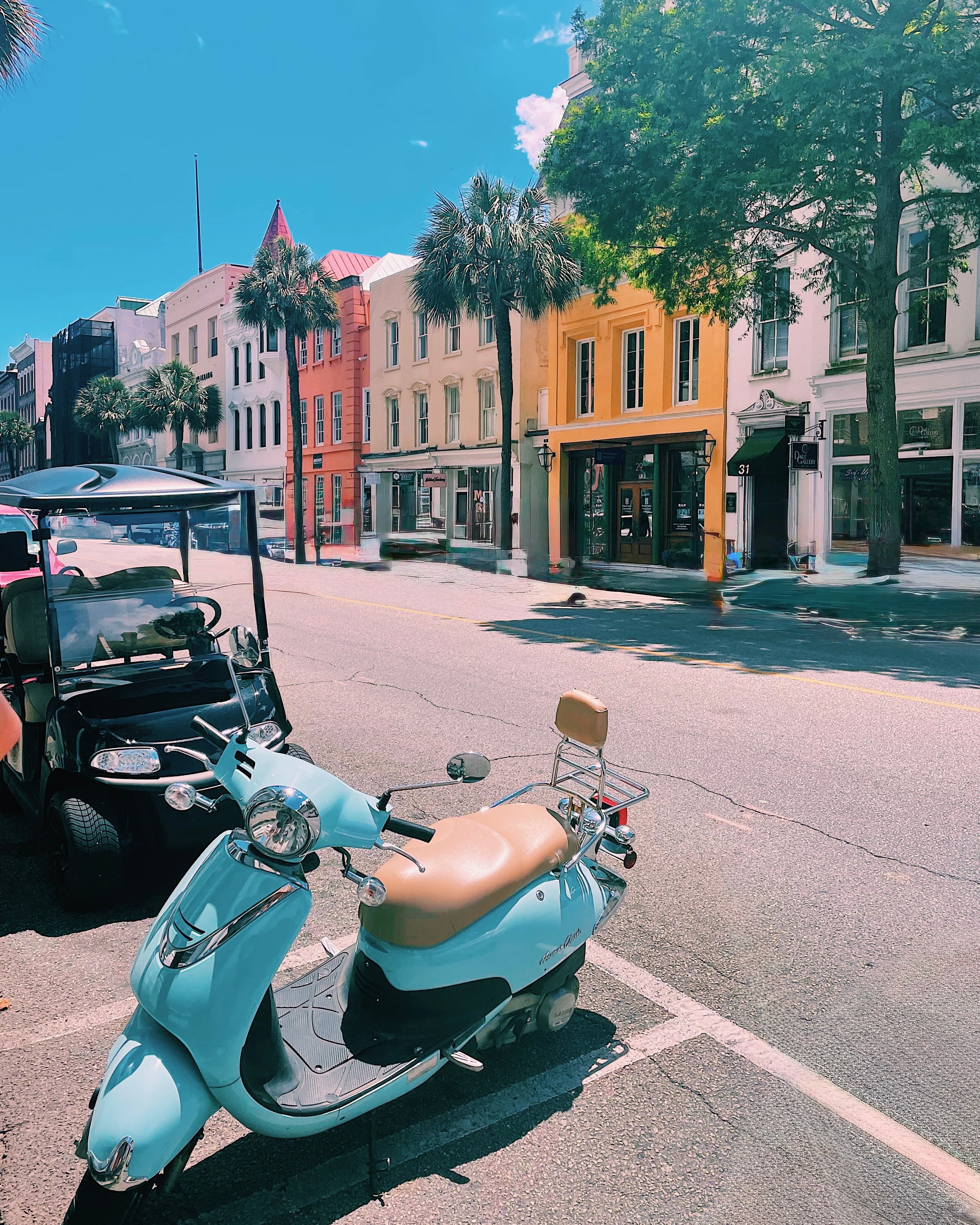 Southern Charm & Coastal Views: A Charleston Guide curated by Lauren Leversee