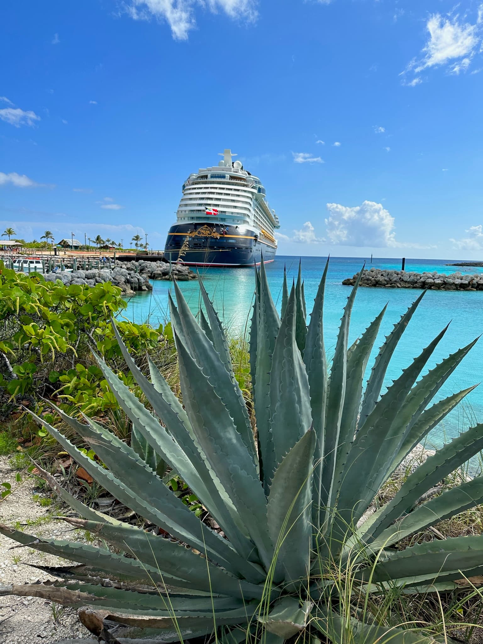 Disney Cruises: The Ultimate Luxury Family Escape for Busy Professionals curated by Mariah Bradbury