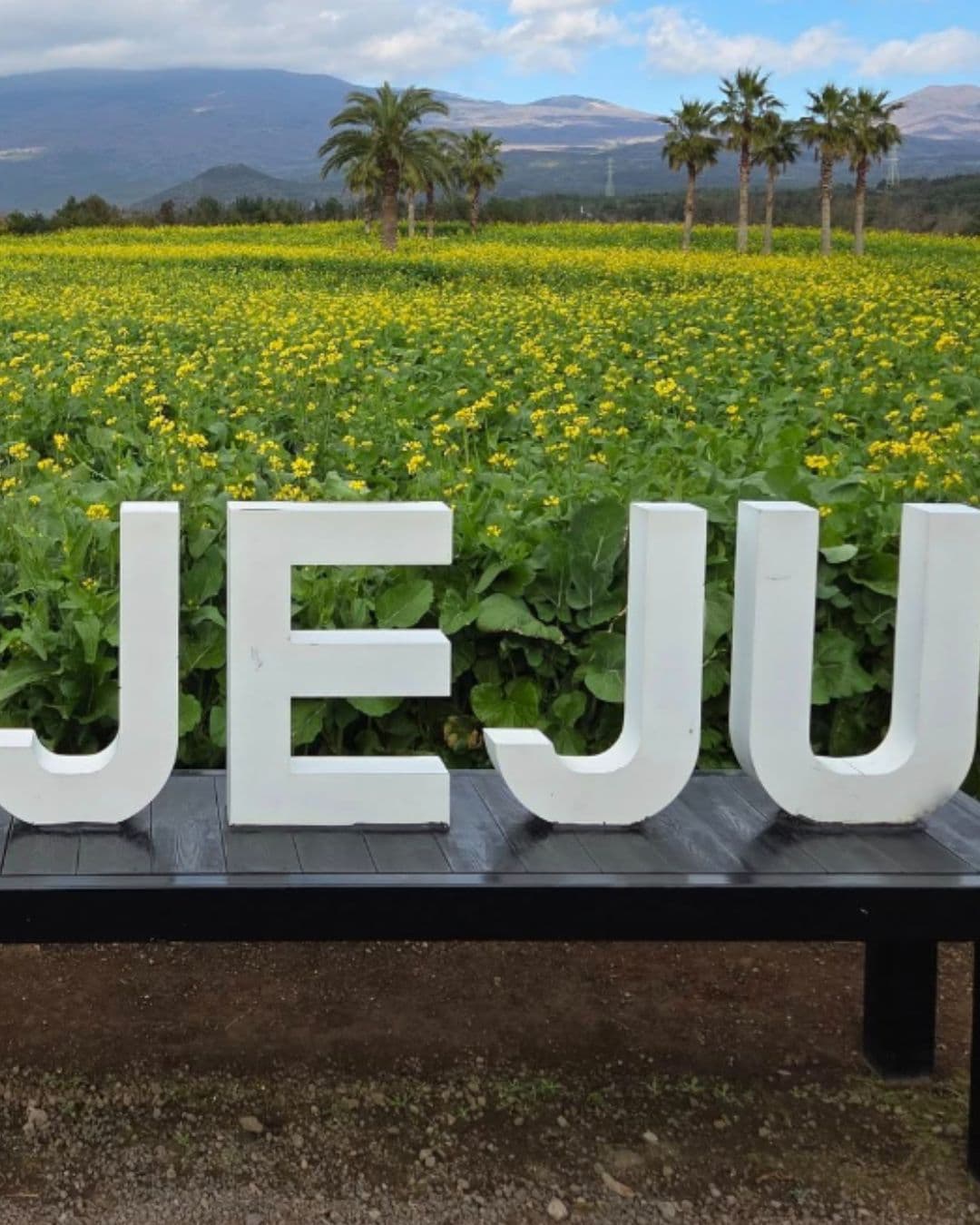 Fire & Sea: Jeju’s Crater Sunrises and Haenyeo Tradition curated by Sonya Barbir