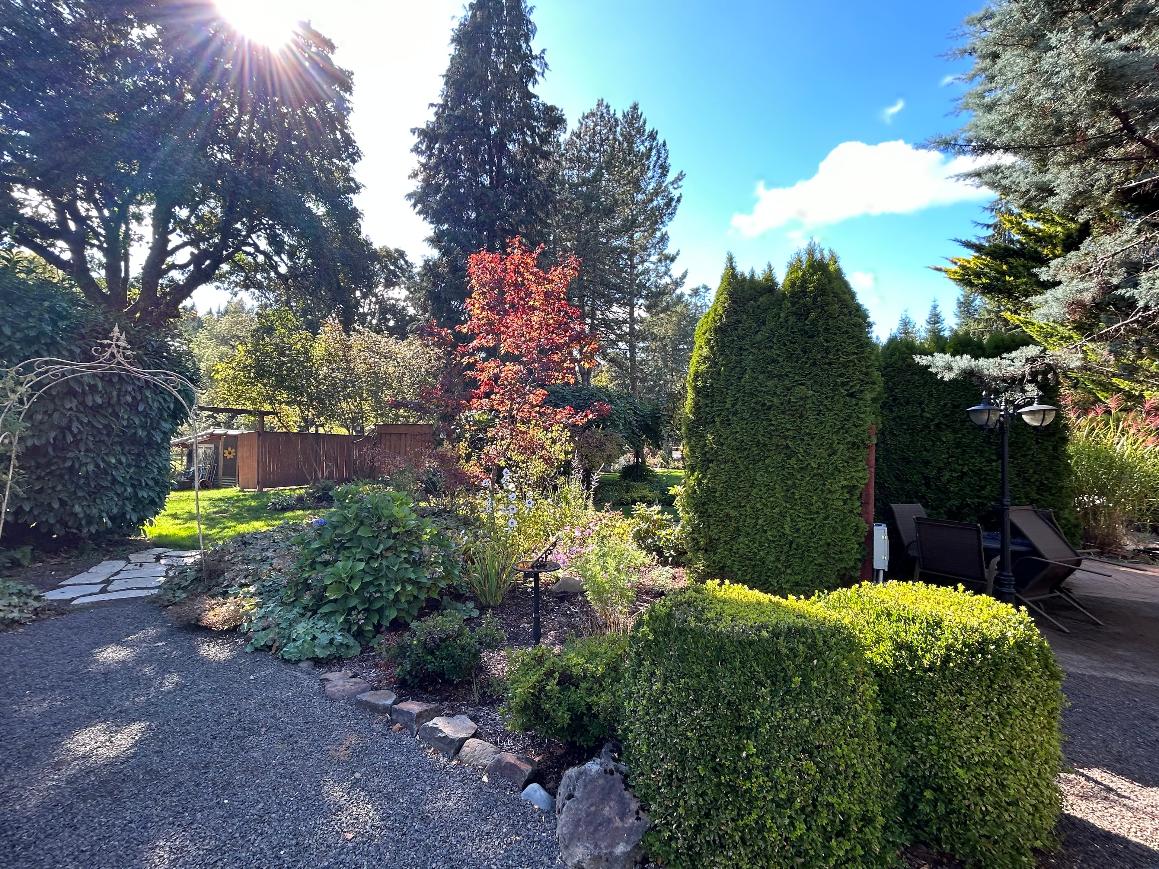 From Forests to the Pacific: The Ultimate Oregon Travel Guide curated by Amary Long