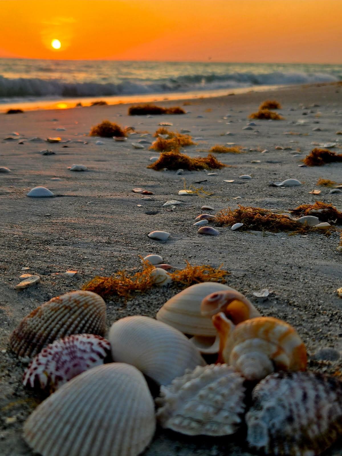 Nature's Wellness Glow-Up: A Week on Longboat Key, Florida curated by Beth Muccini