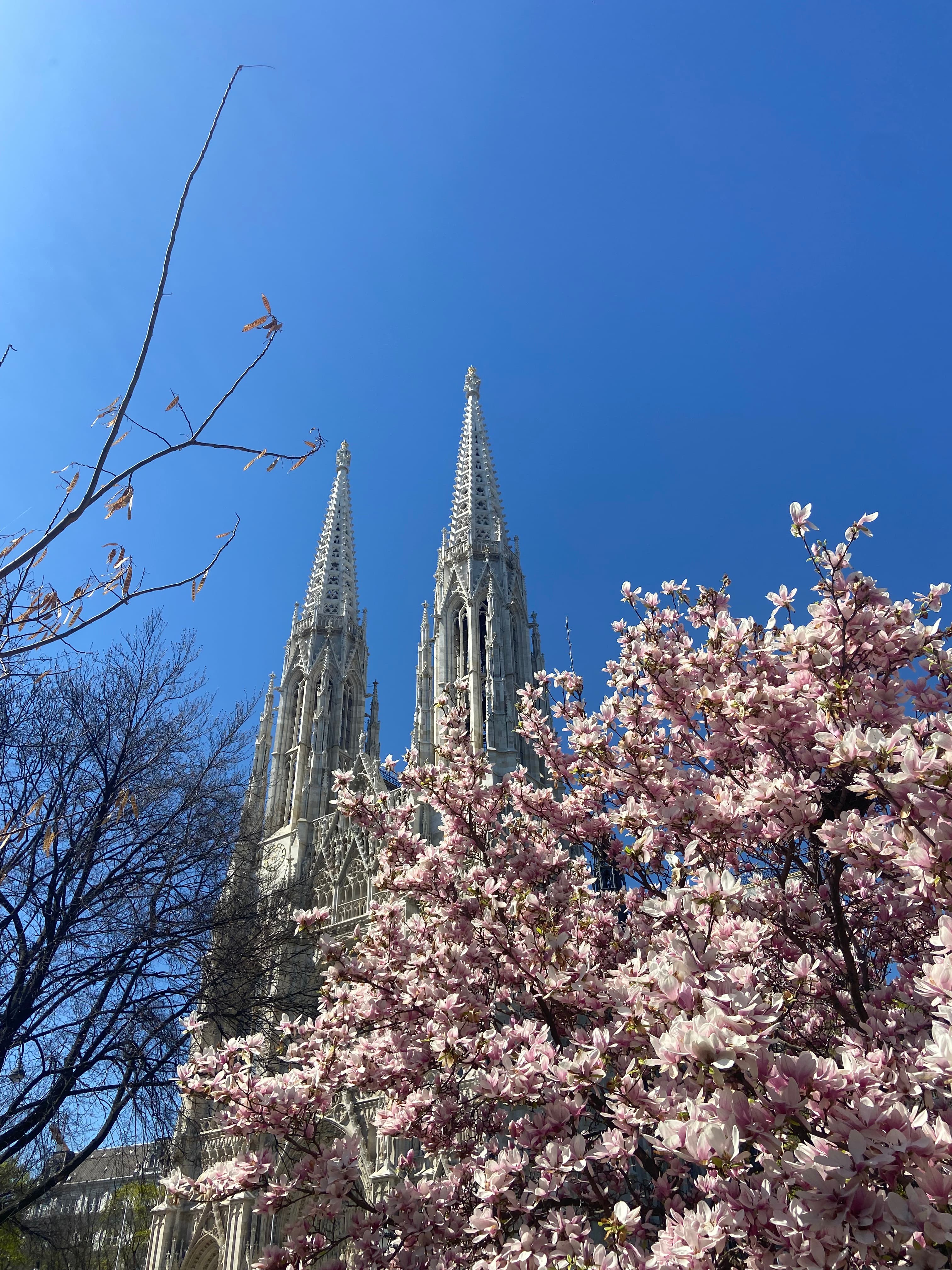 Vienna: An Expat's Guide to Where to Stay, Play & Dine curated by Amber Petrossi