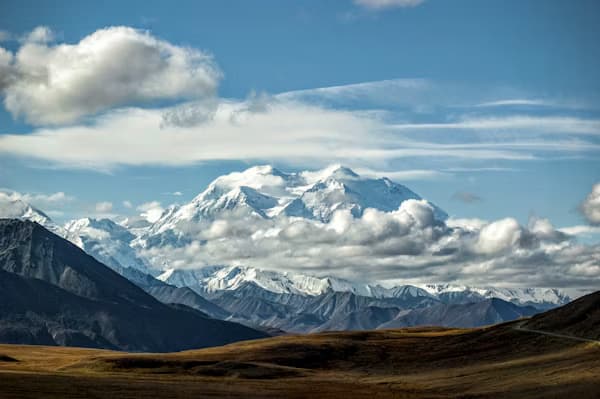 The Real Guide to Denali curated by Ashley Feller