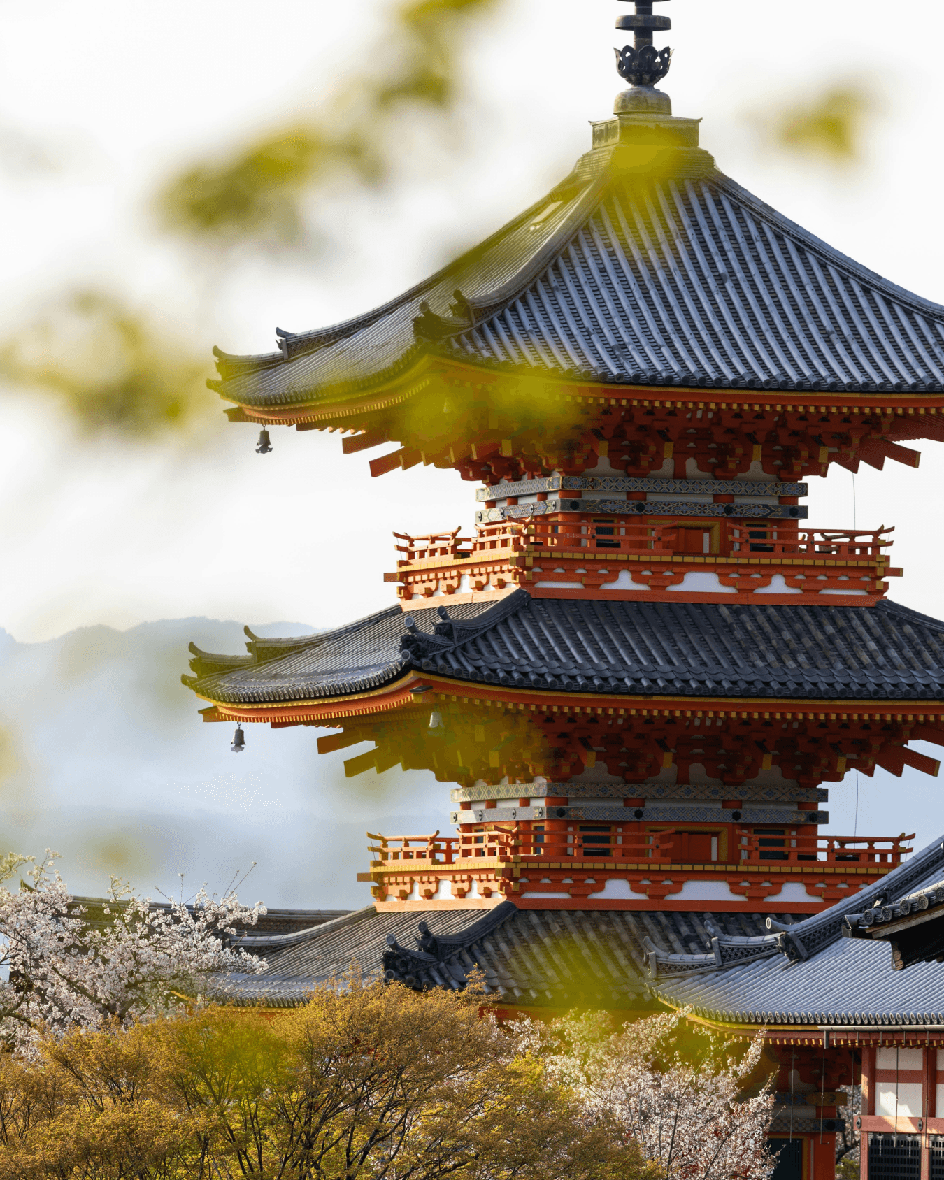 Discover Japan: Kyoto curated by Priscilla Lobato