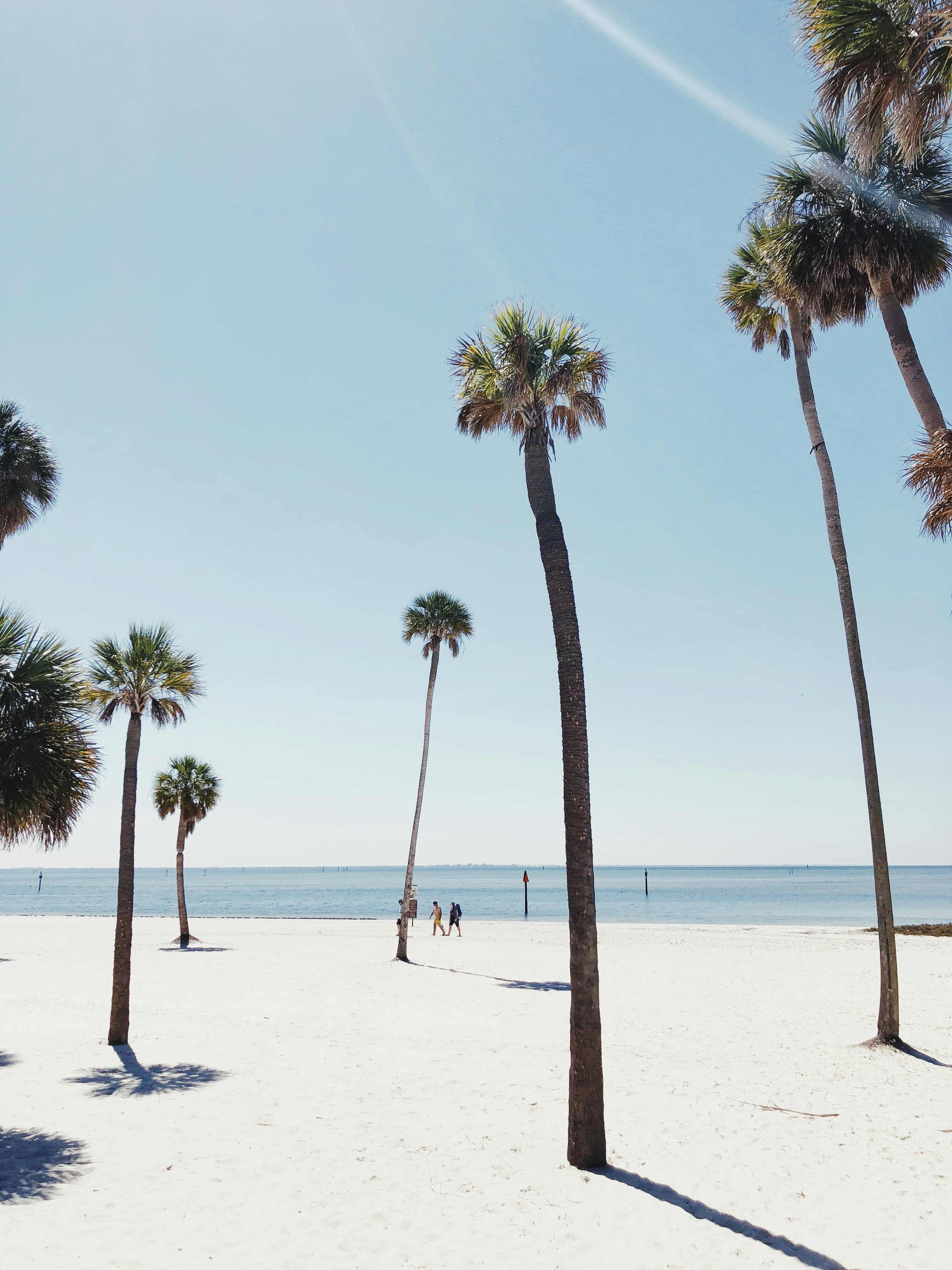 A Local’s Guide to Tampa, Florida curated by Annalise Wessel