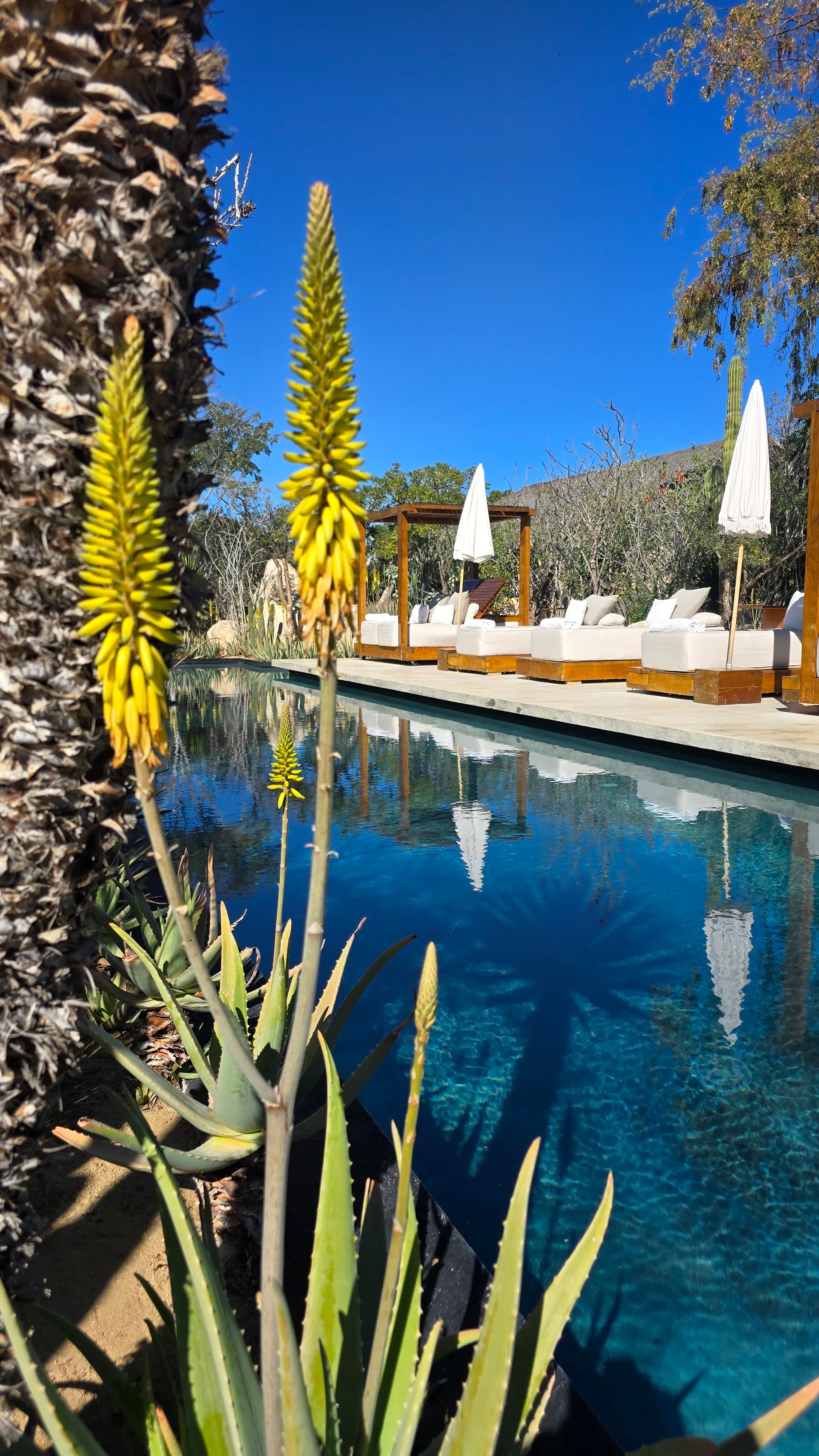 How Many Days Do You Need in Todos Santos? How Much Time Do You Have? curated by Matt Bell