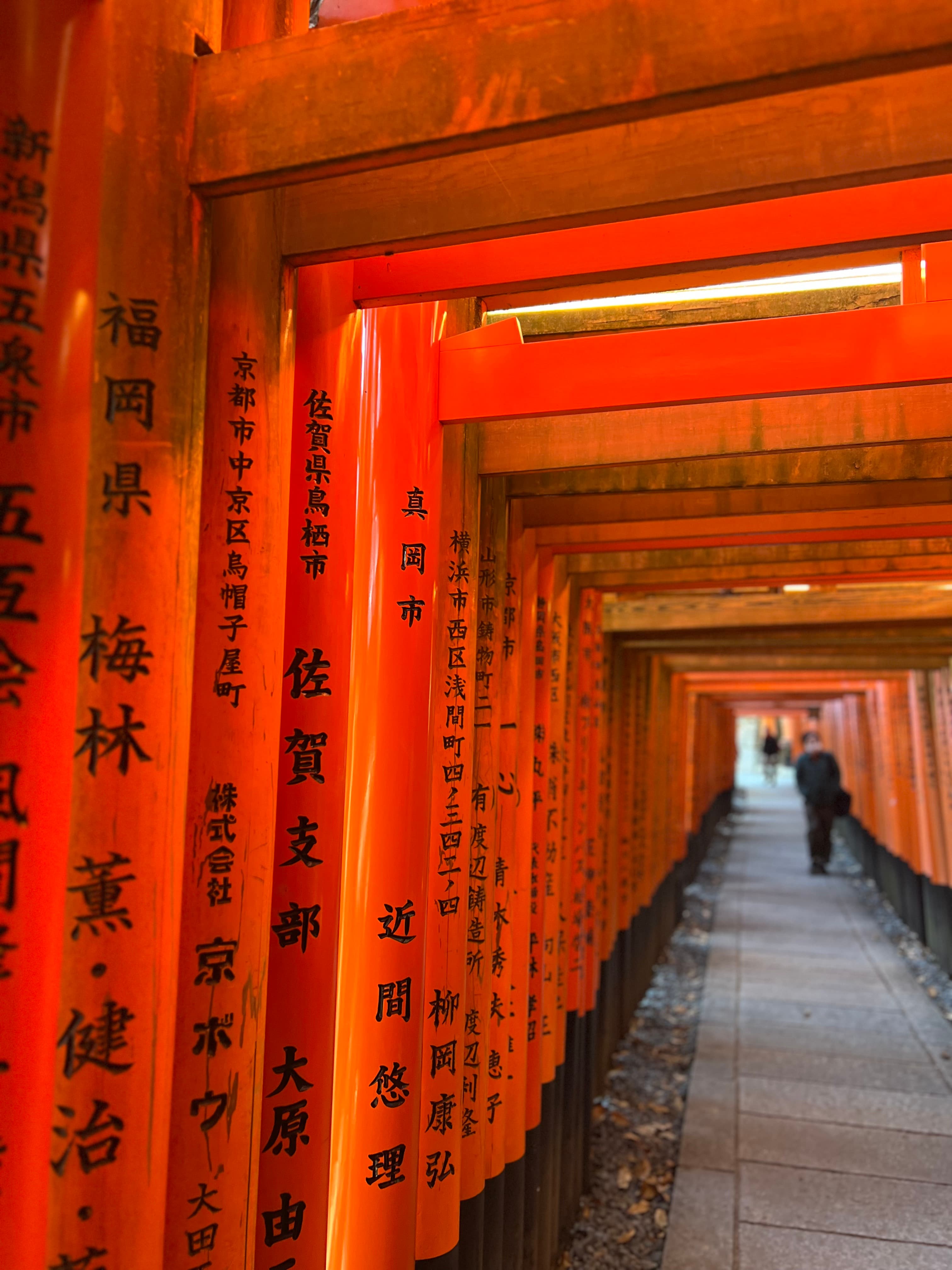 Travel photo 1