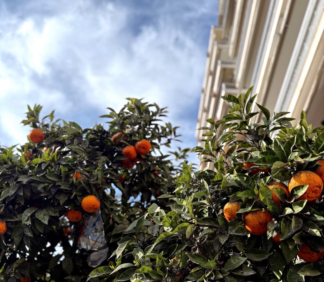 Northern Greece: City & Sea curated by Natalie Buczynsky